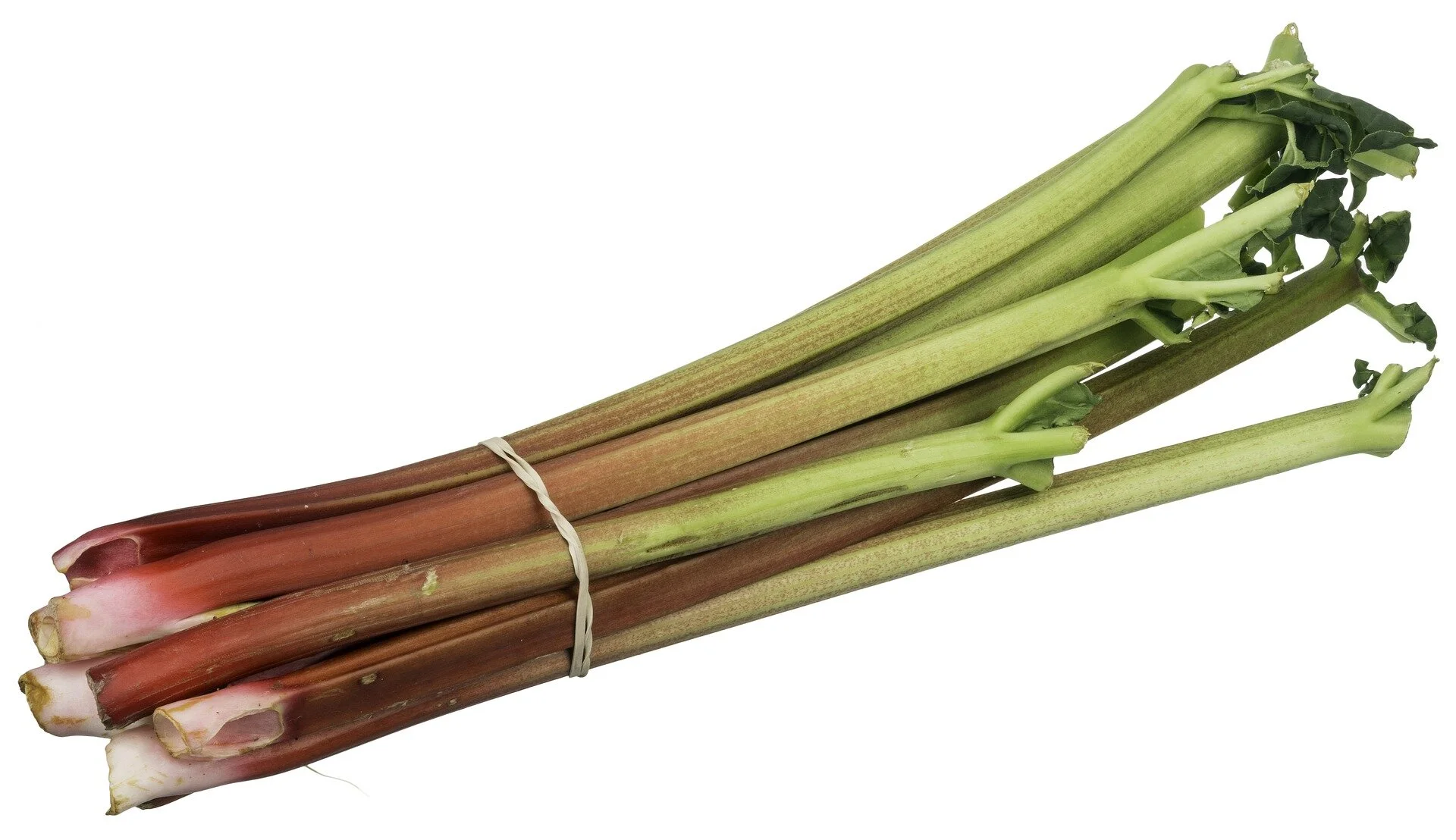 rhubarb2.jpg