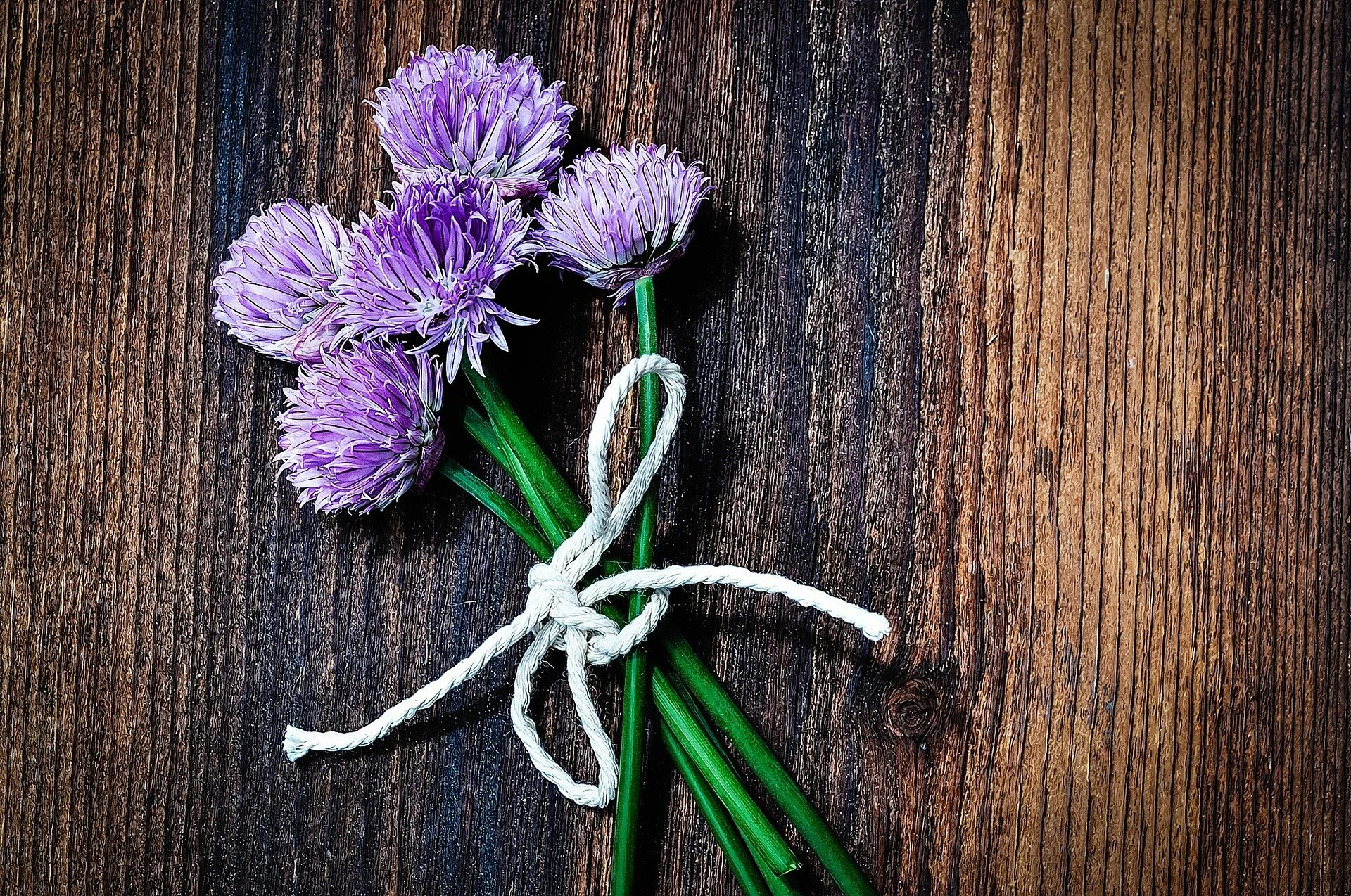 chives-805728_1920.jpg