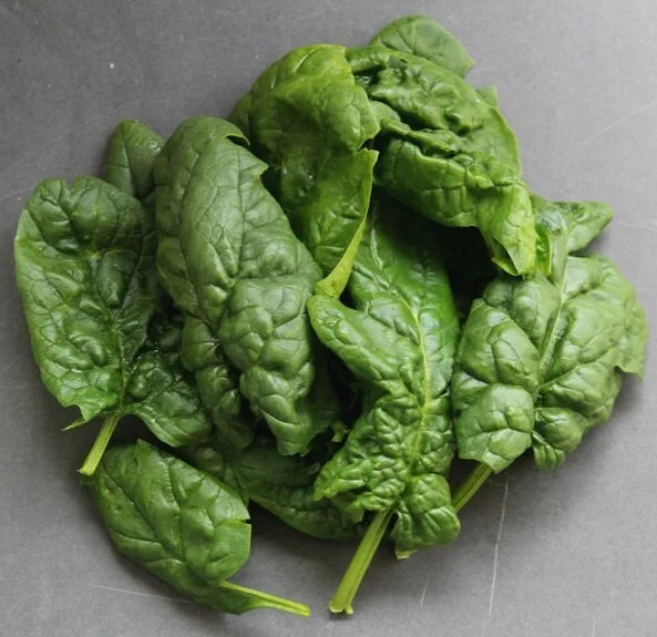 SFC_spinach_leaves.jpg