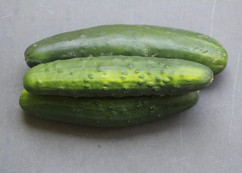 SFC_cucumber.jpg