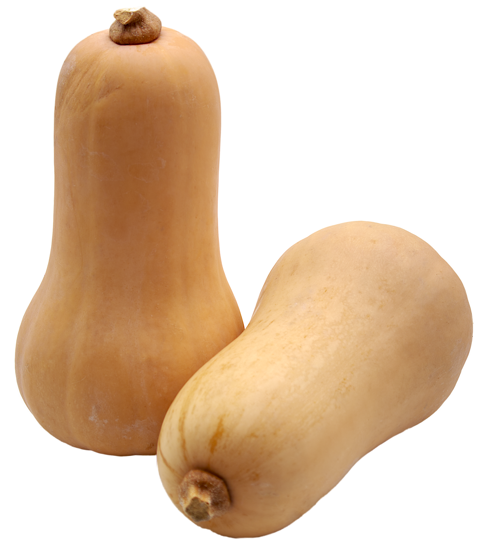 pumpkin-4346421_1920.png