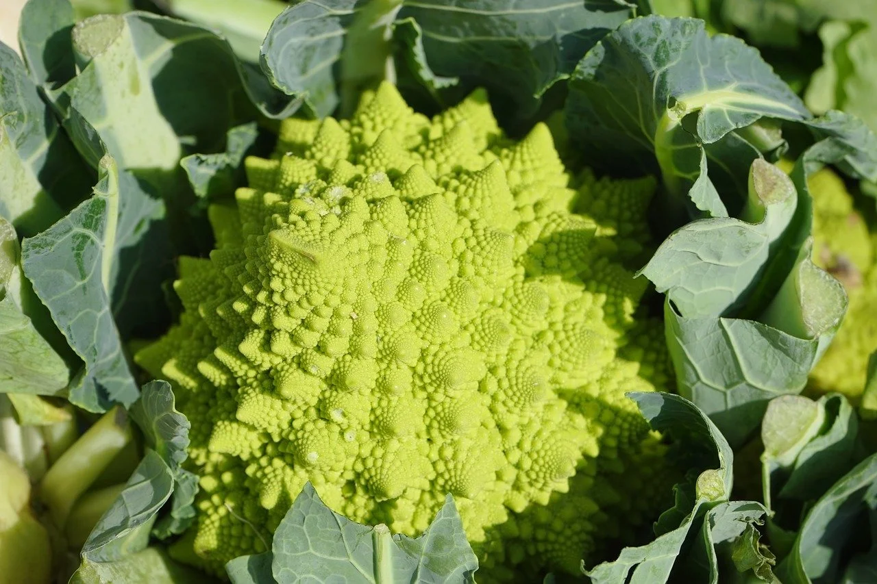 romanesco-g1ae1e7e26_1280.jpg