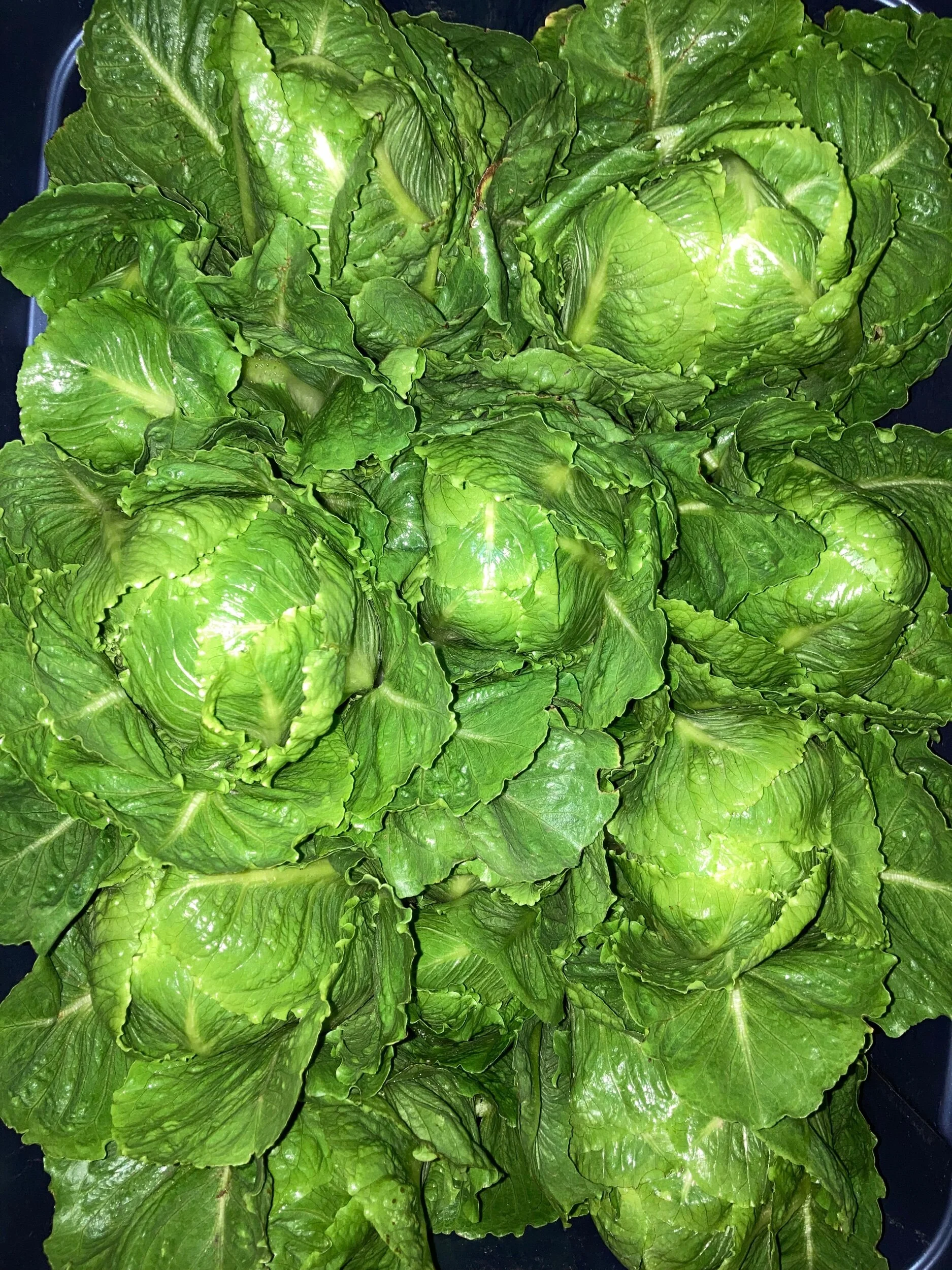 0B2A4618-7EF0-4ABC-8636-4A55EF1FBB63