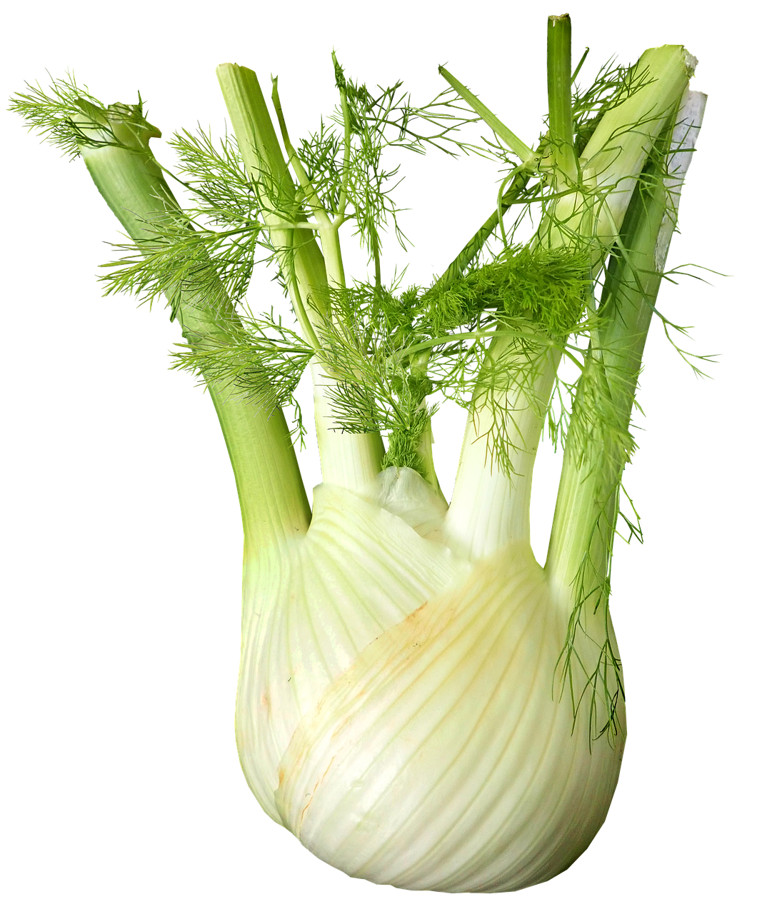 69770DB7-D698-47B0-B95B-7F65ED31977B