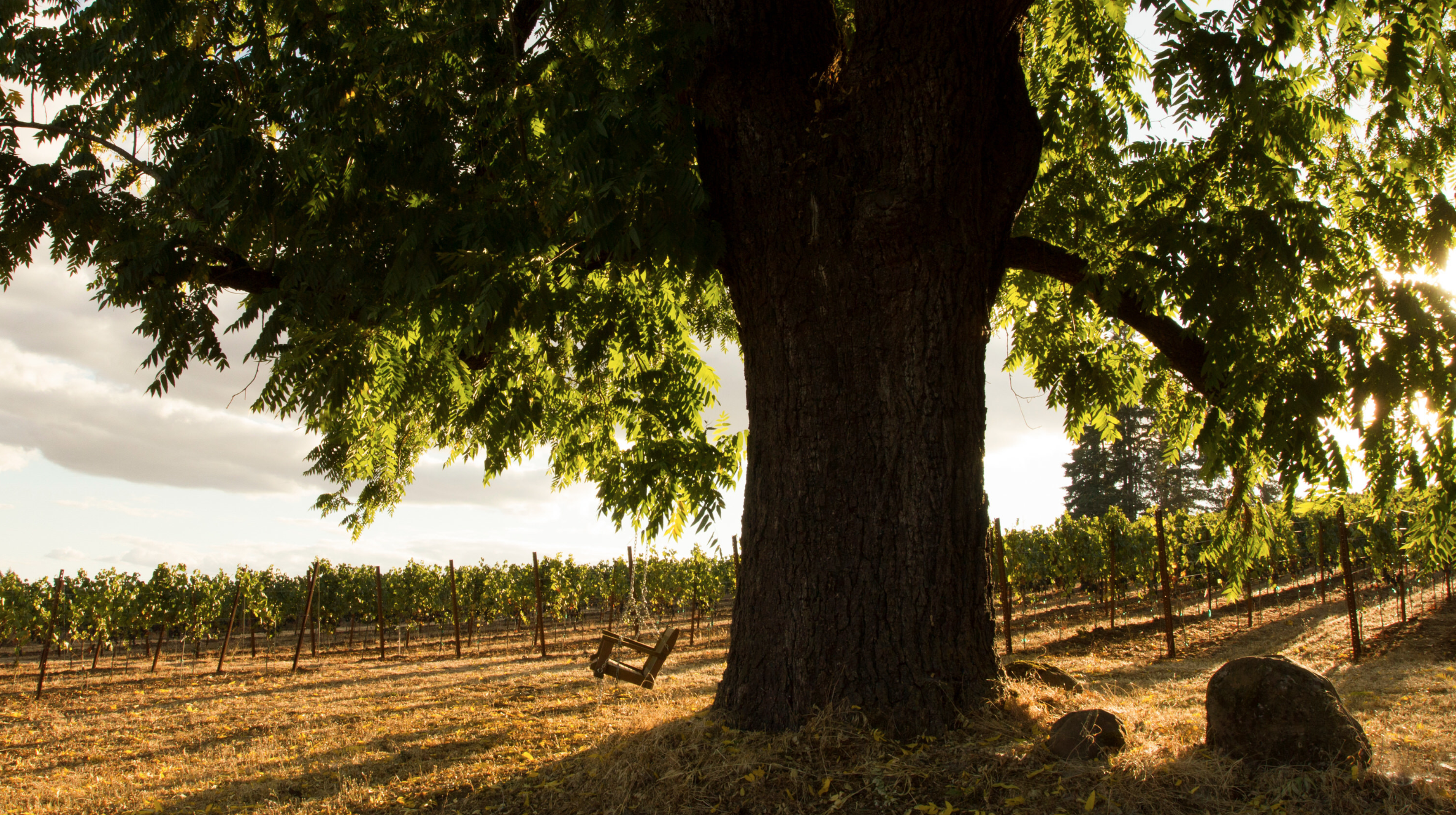 Screen Shot 2019-04-22 at 8.22.49 PM.png