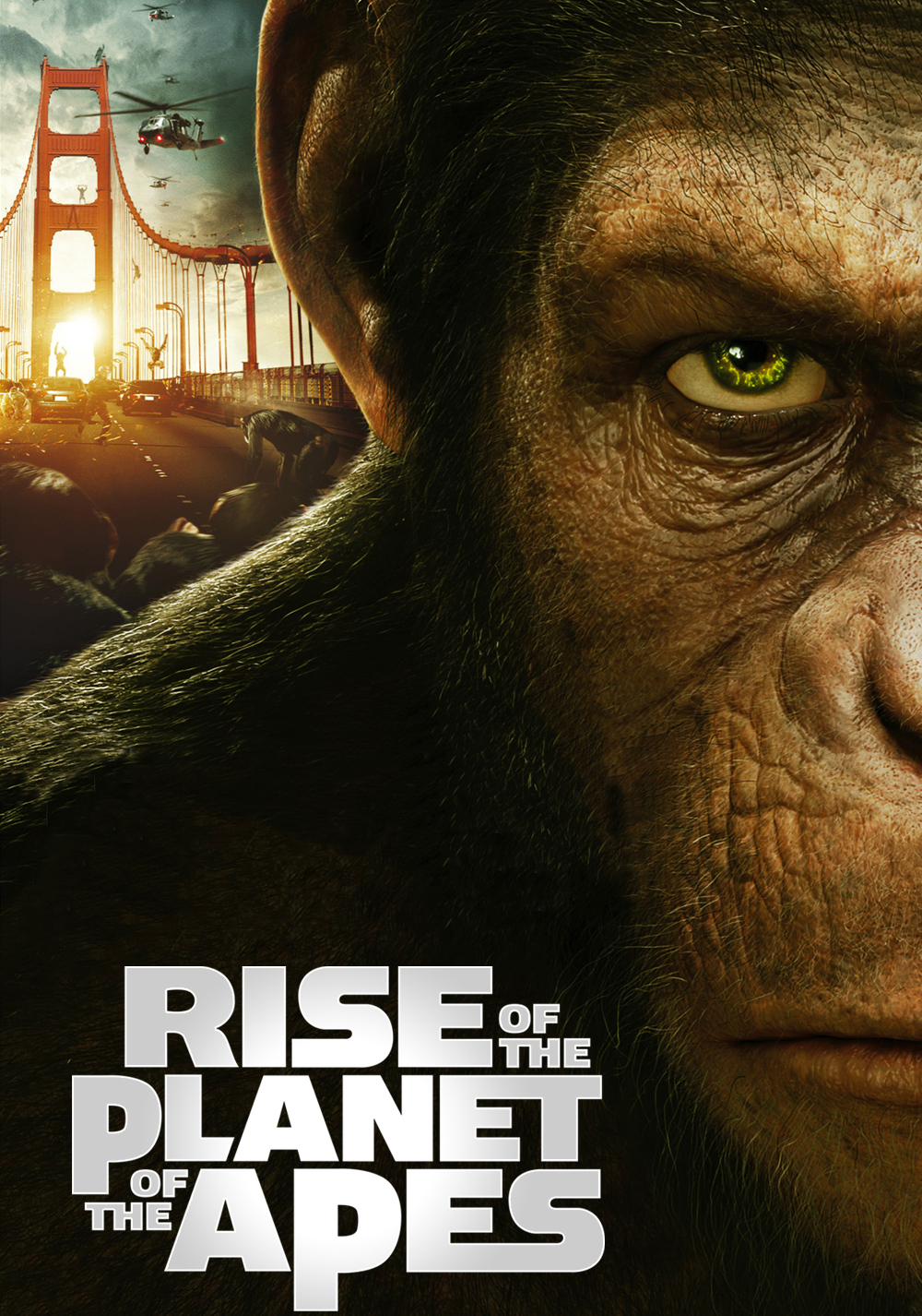 Rise of Planet of The Apes Movie Poster