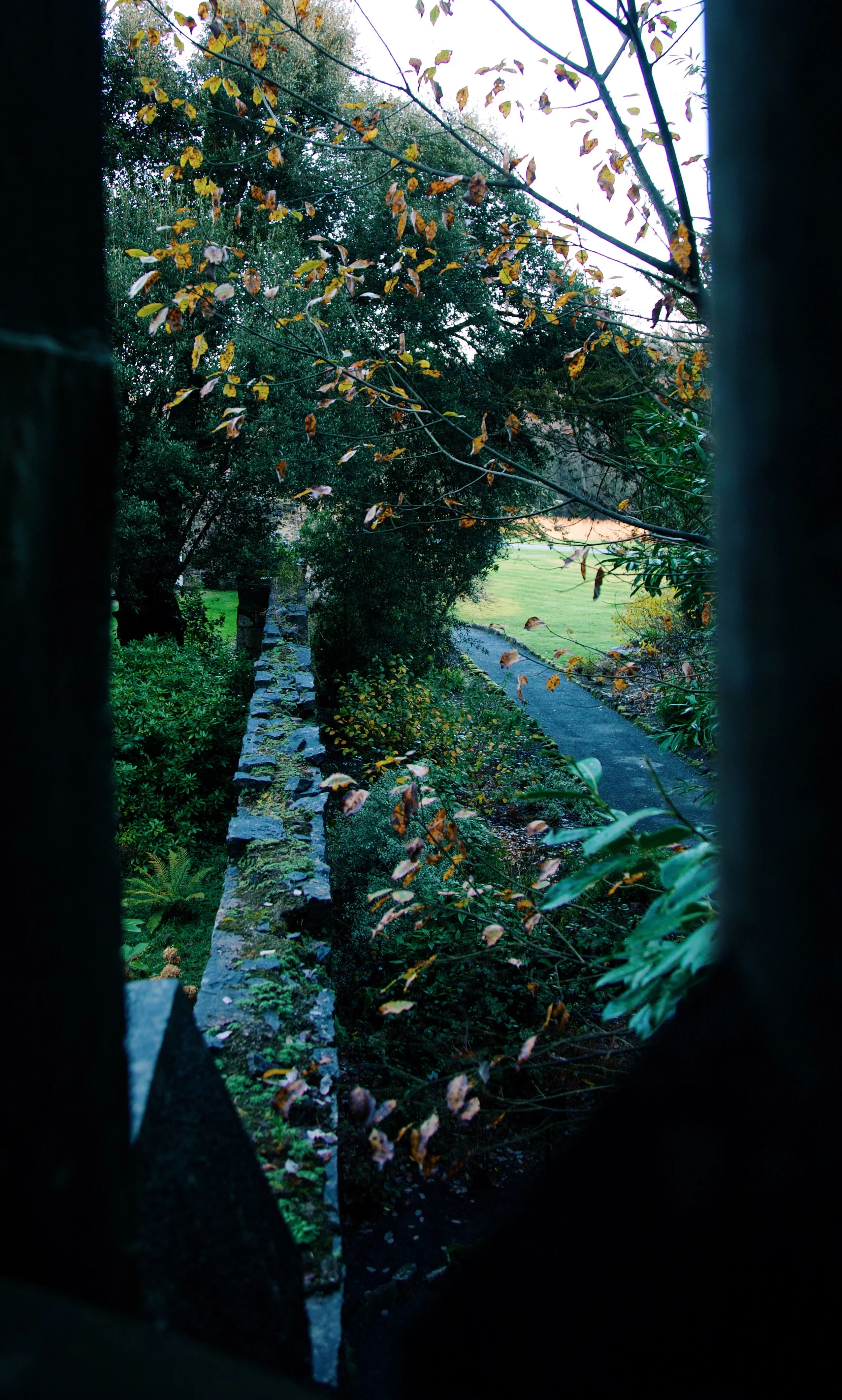 Ashford Castle, Ireland