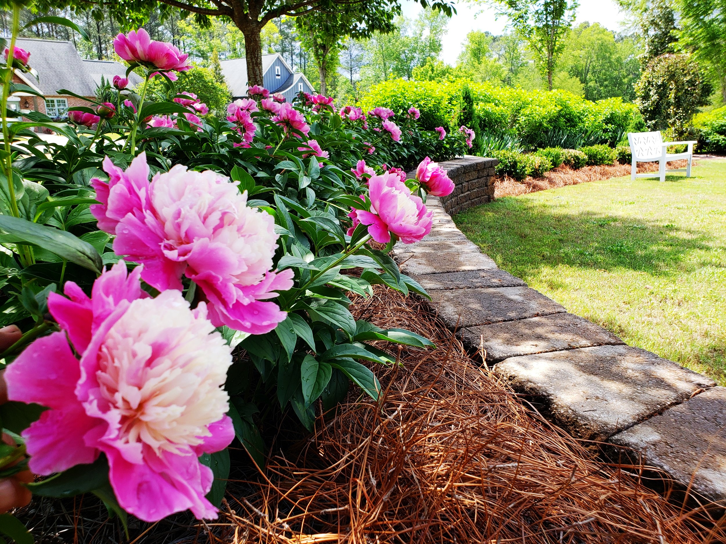 Landscape Design & Installation