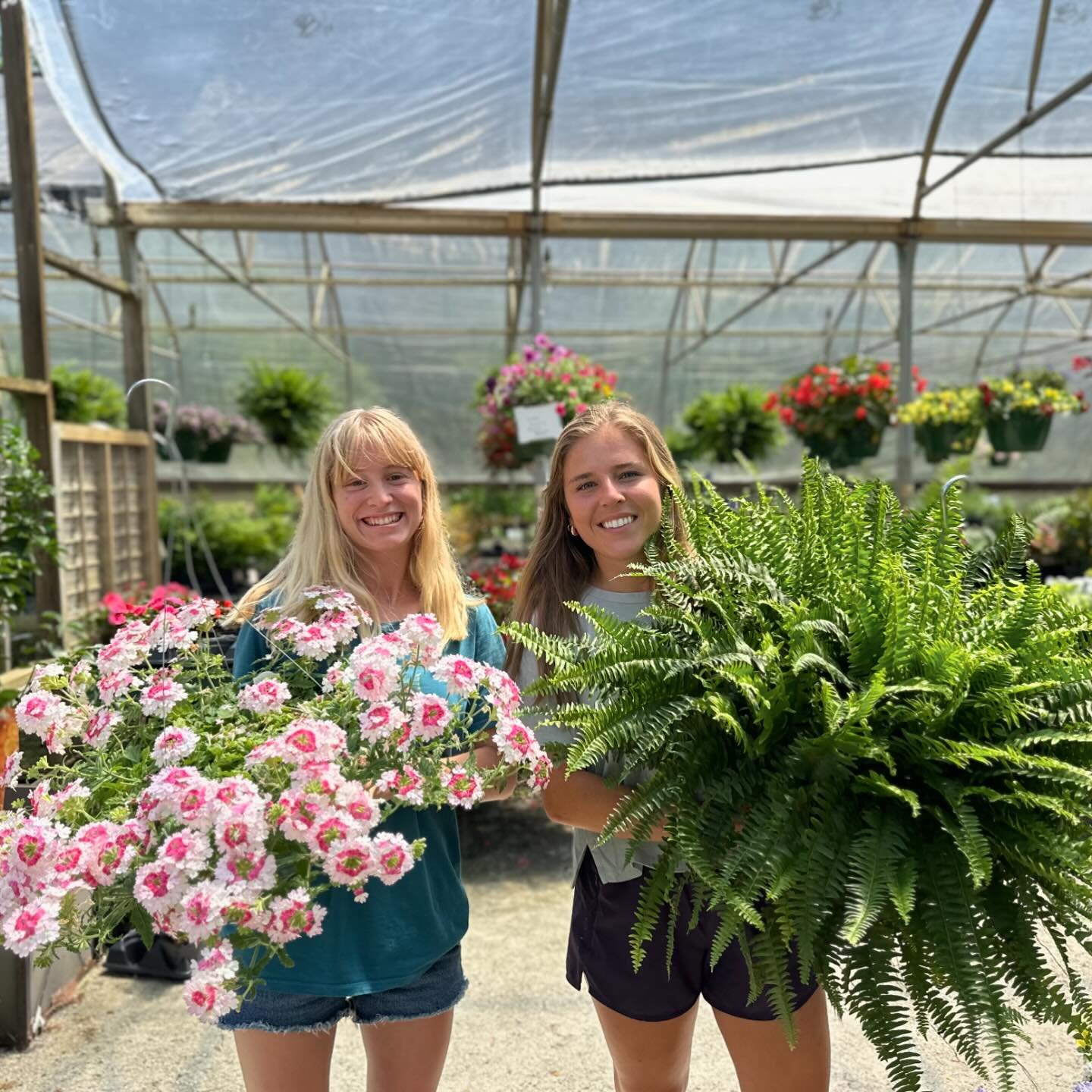 The gals at the garden shop want you to know today is the LAST DAY OF OUR SALE!!!!! 
20% off your purchase!!! 

Come visit us today ! Open until four !!