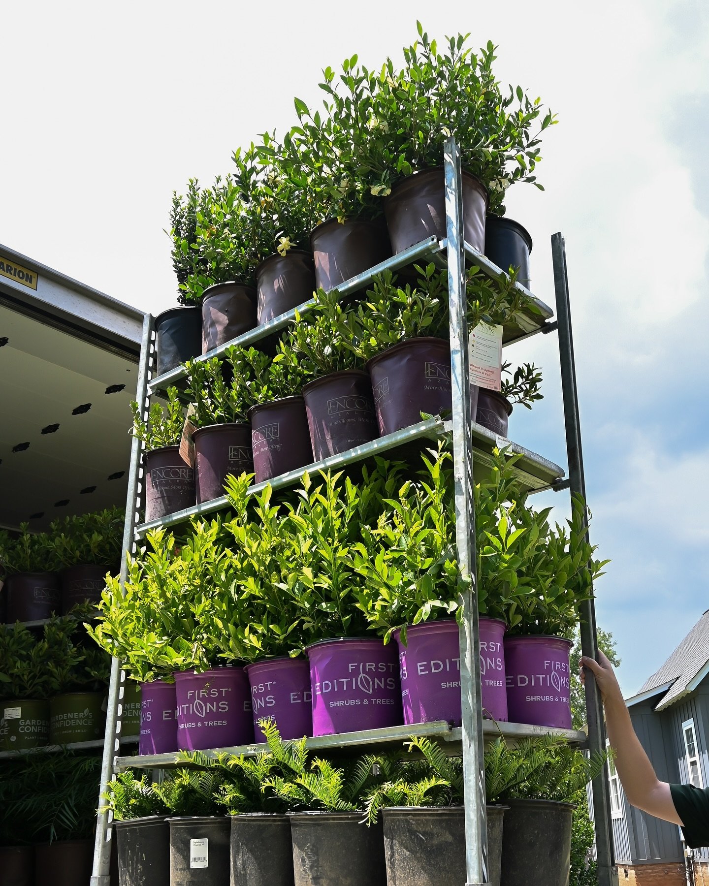 Providing high quality plants since 2005🌿

New shrubs are in🌳🍃
Open Mon-Sat- 9am-5pm 
📍103 Wyatt Court, Greenwood SC