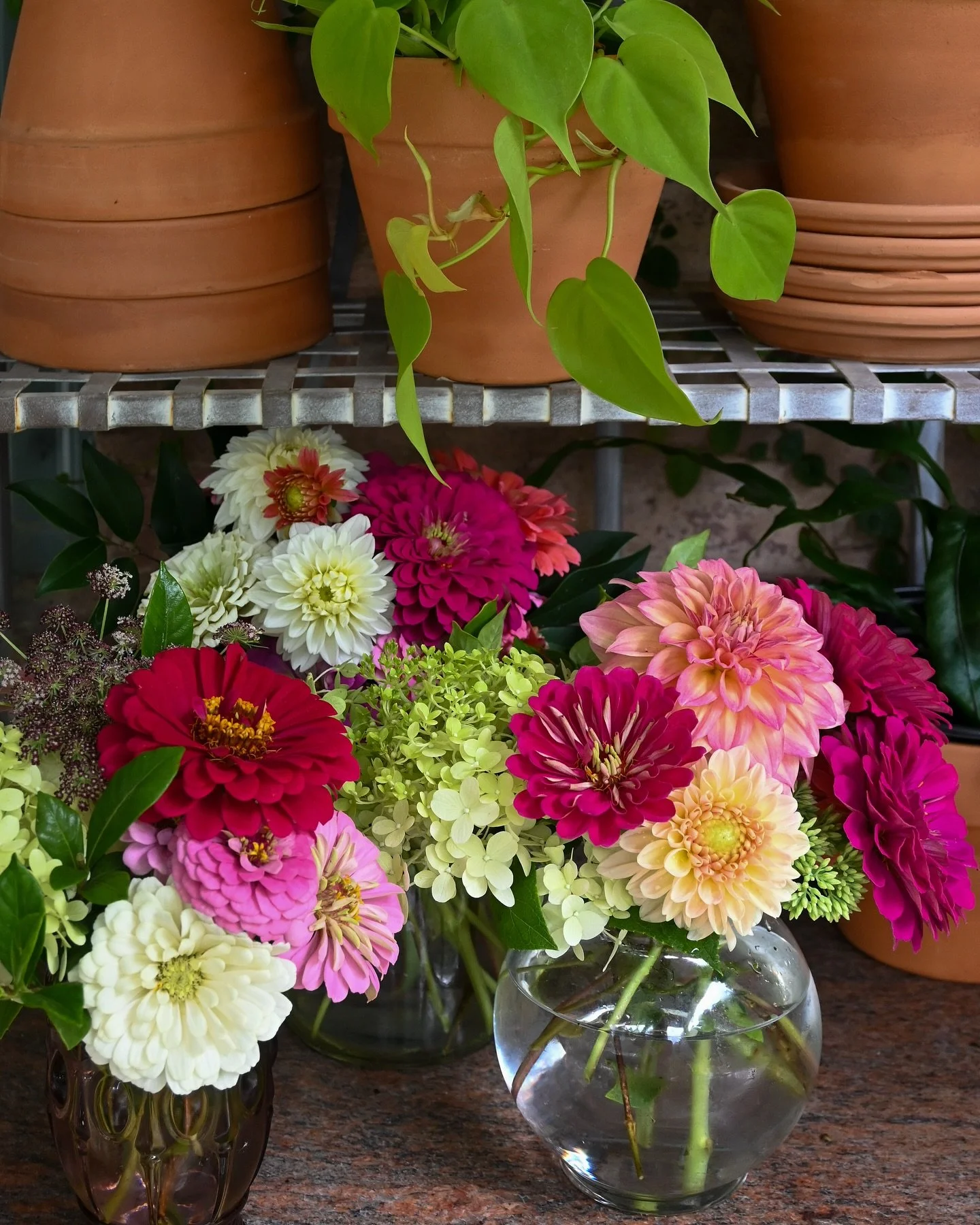 Brighten up this rainy Saturday with some beautiful blooms ❤️💐 
Open until five 🌸