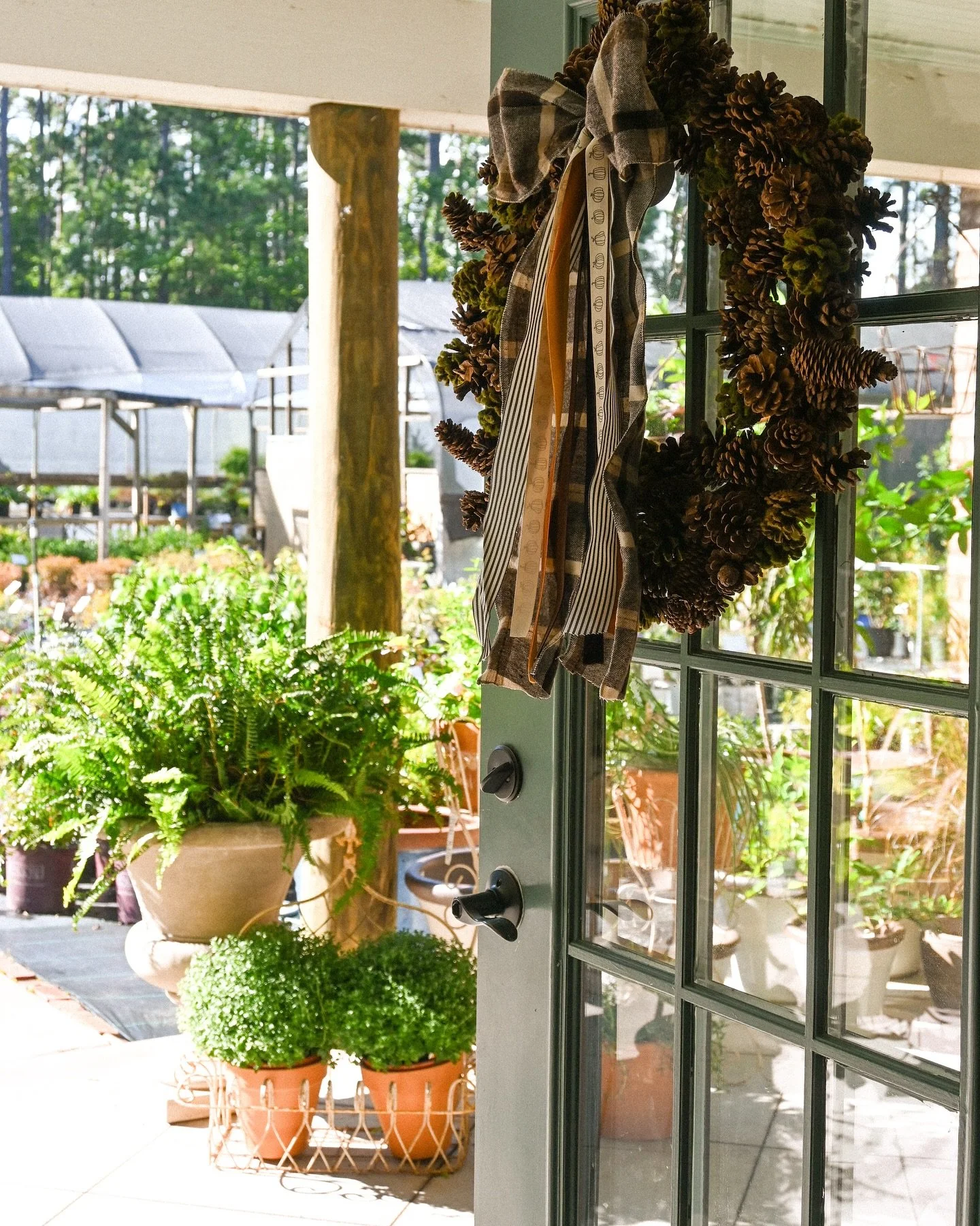 A beautiful Saturday 🌻 ☀️
Fresh arrivals are here- first delivery of fall annuals, cozy candles, new perennials &amp; shrubs, annddd fall decor to get the season started 🍂

We will be closed Monday for Labor Day! Have a great long weekend!