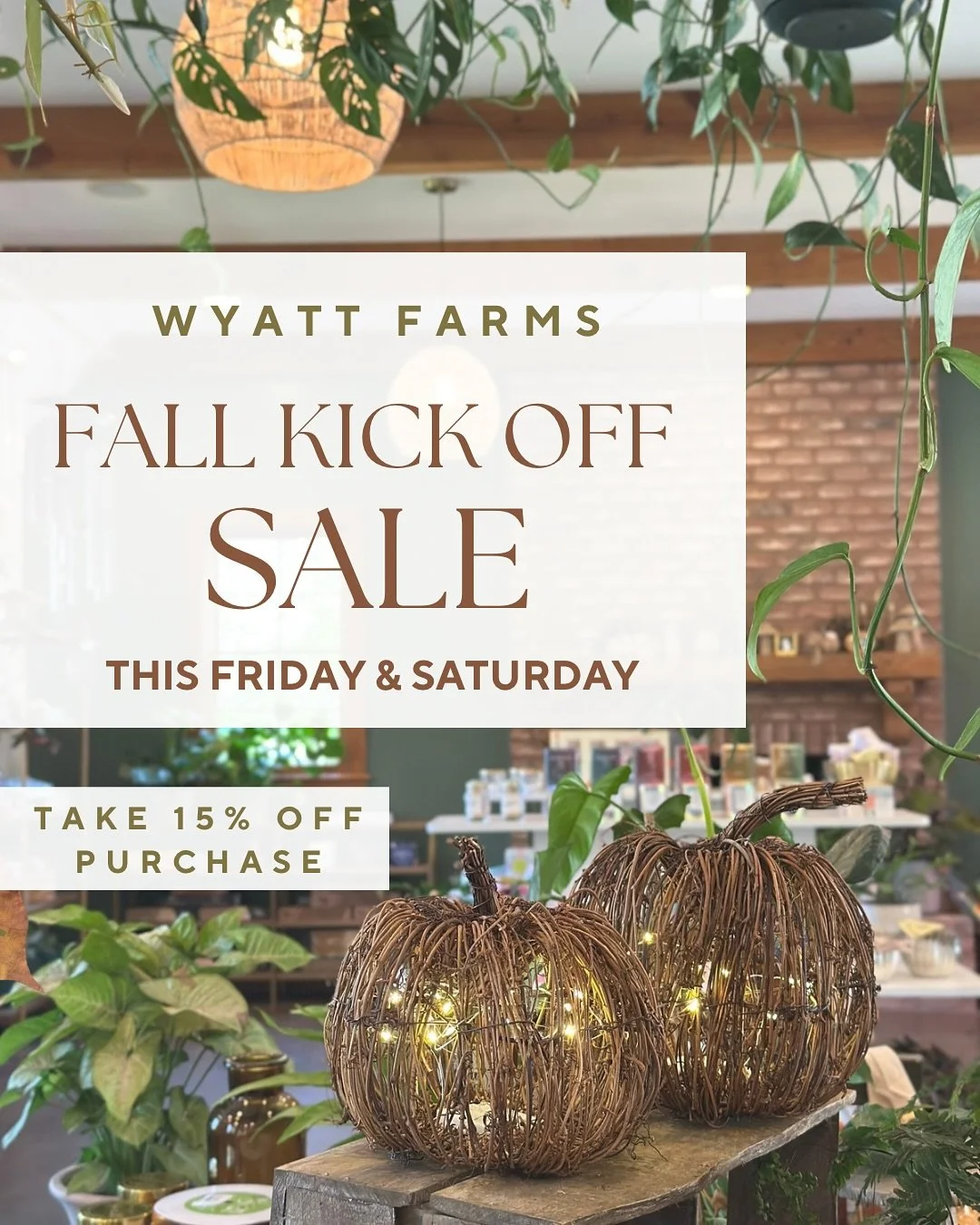 Let&rsquo;s kick off the fall season with a sale! Take 15% off your purchase this Friday and Saturday 9am-5pm !!! 🍁🍂☕️

🌟Fall container workshop this Saturday too! 11am $35 - sign up by messaging us, calling or click the link in our bio!