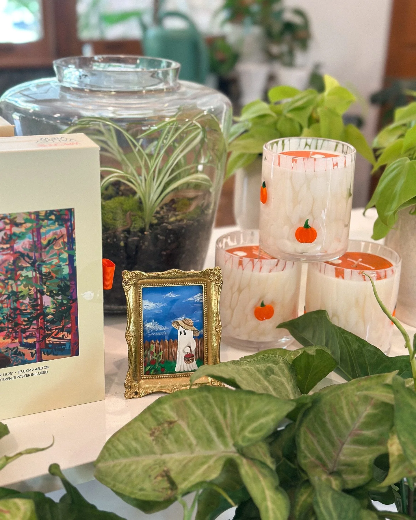 Lots of new arrivals here at the shop just in time for our FALL KICKOFF SALE this Friday and Saturday 🌿🍁!!! 
Take 15% off purchase- this includes all shrubs, annuals, perennials, trees, gifts, houseplants &amp; more!! 

Fall Container Workshop this