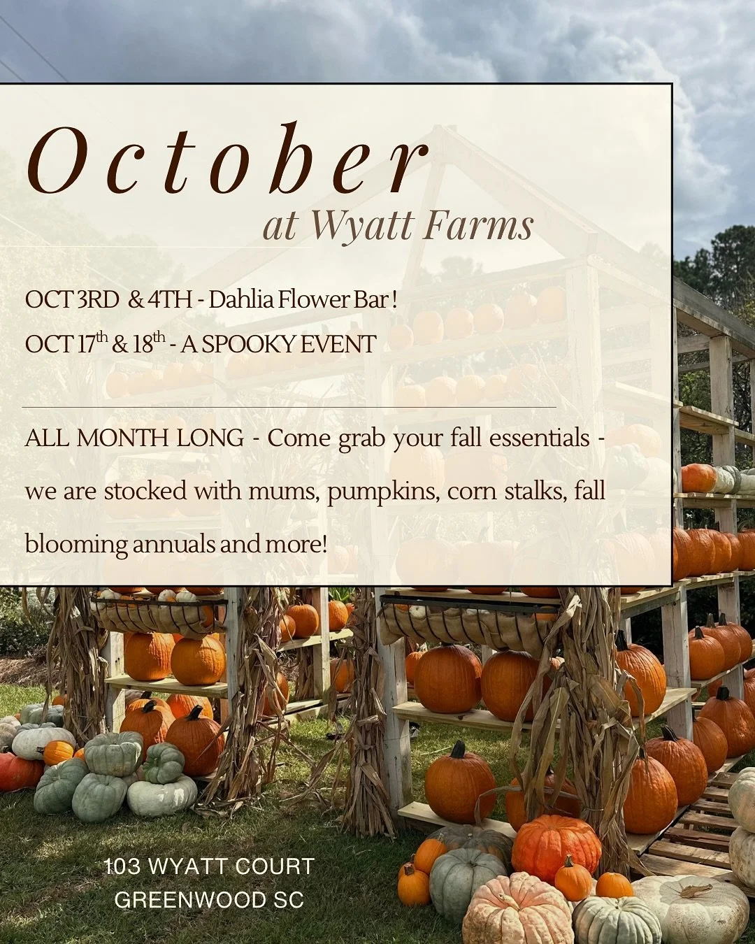 October is almost here!!!

🎃Dahlia Bar this Friday &amp; Saturday! Dahlias from @petalpickers 💐

🎃Oct. 17th &amp; 18th - A 👻Spooky👻 Event *details to come*

We have all the fall essentials !! Pumpkins, mums, annuals, perennials &amp; more!! 
Ope