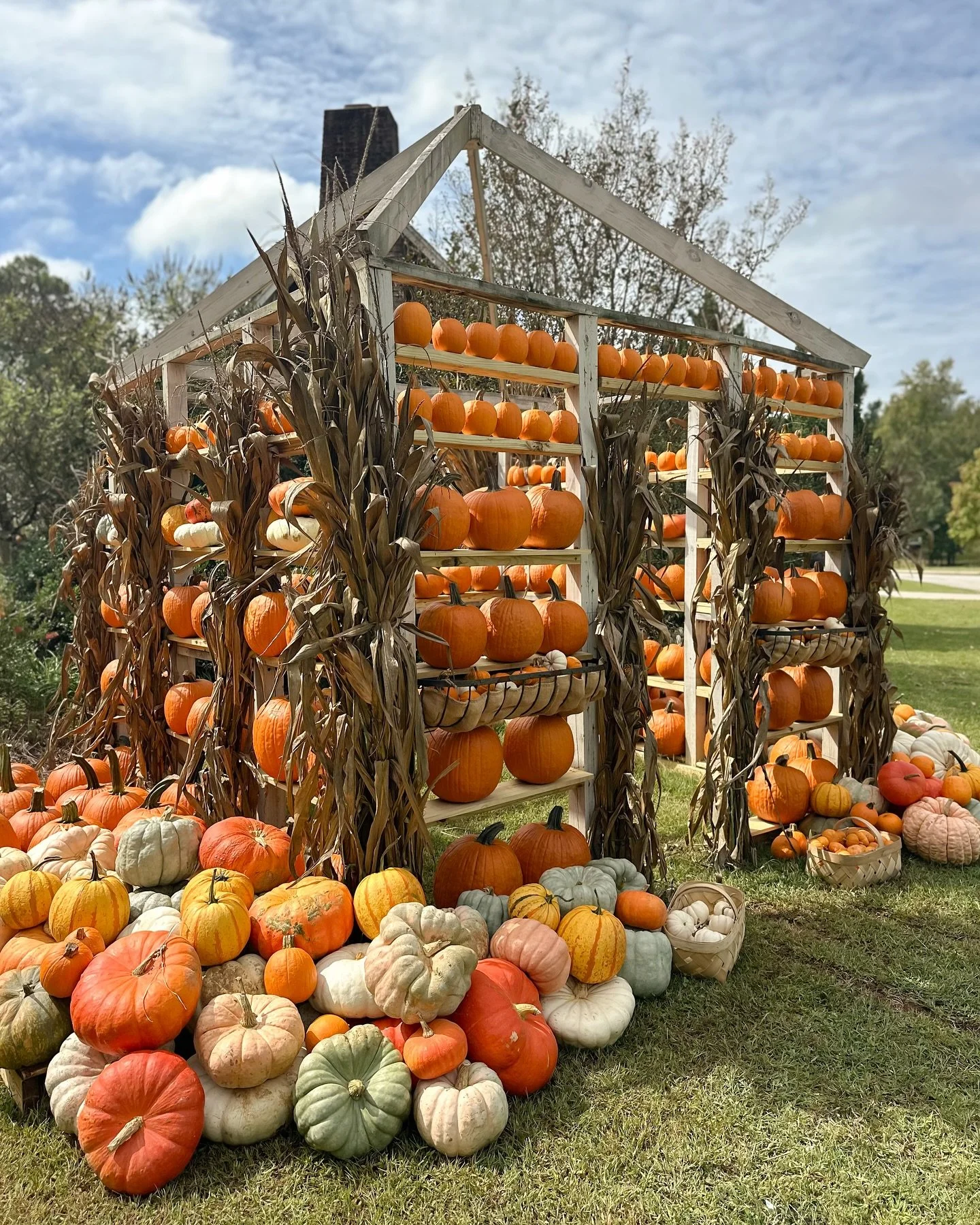It&rsquo;s Pumpkin Season 🎃!!!
Come check out our lil pumpkin display and stock up on all your favs!
We have ornamental, pie, mini, regular pumpkins cornstalks &amp; more!
