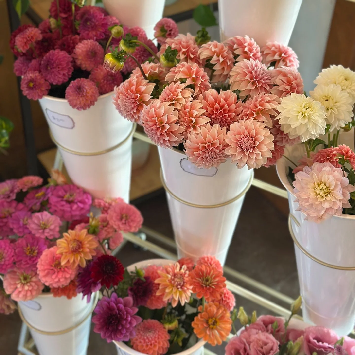 Brighten your day with flowers 🌟💐
Build your own arrangements + pre-made available today and tomorrow 9am-5pm! 

Flowers from @petalpickers + our farm!!