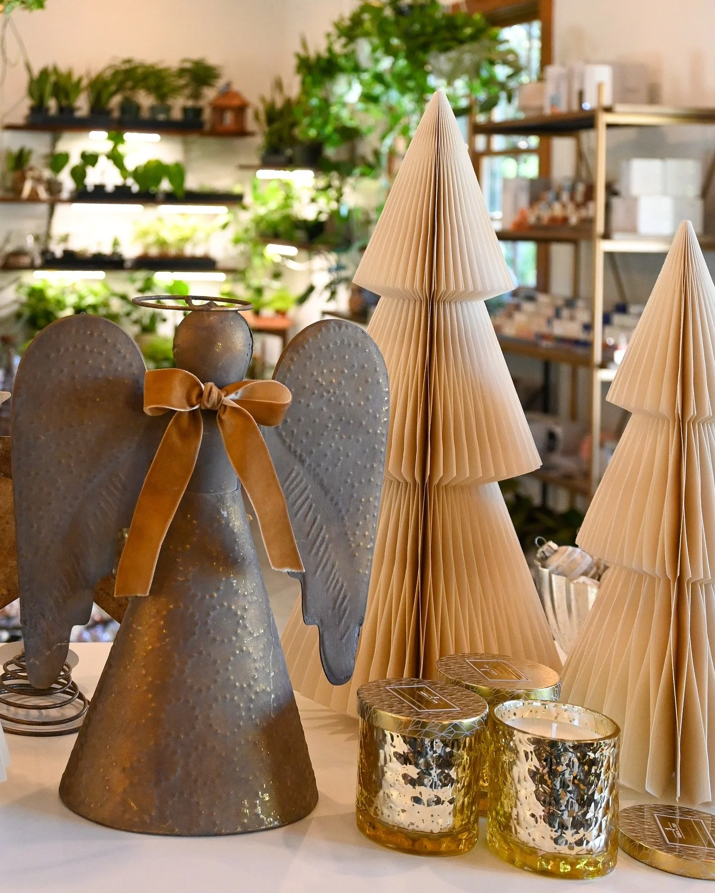 Too soon for the Christmas spirit?  Never!! Here&rsquo;s a little preview at our collection in store 🎁✨🌿

Important Upcoming Events: 

✨Next Saturday Nov.15th - Holiday Open House 9am-5pm &amp; Pottery Sale next door at pARTners in Clay !!!
✨Black 