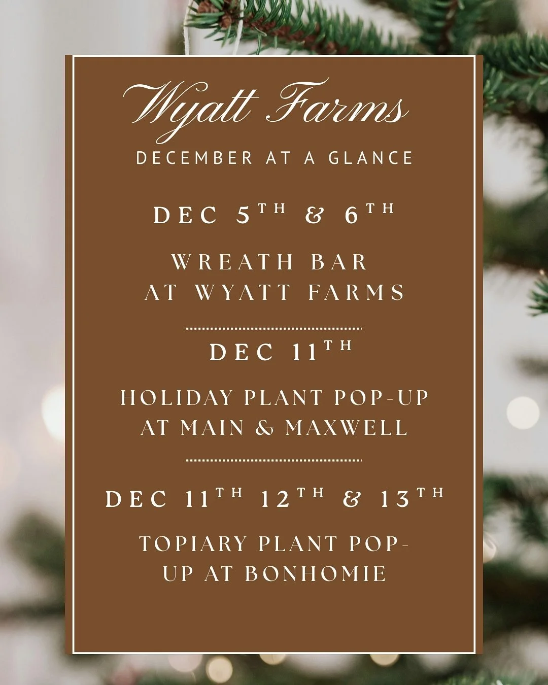 Happy December!✨🎄🎅🏼

Check out what&rsquo;s happening this month! 

This Friday &amp; Saturday- Stop by during open hours and make your very own wreath! 9am-5pm✨

Next Thursday - Holiday Plant Pop-Up @mainnmaxwell from 5pm -8pm during the Uptown S