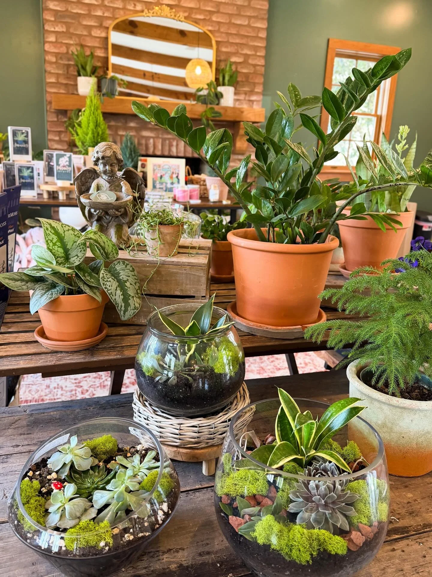 Houseplants make winter feel a little warmer 😊

Winter care tips for houseplants - 
🍃 keep plants away from cold drafts or heat vents 
🍃add a humidifier if the heat is drying out the plant
🍃skip fertilizer - growth slows during winter 
🍃clean du