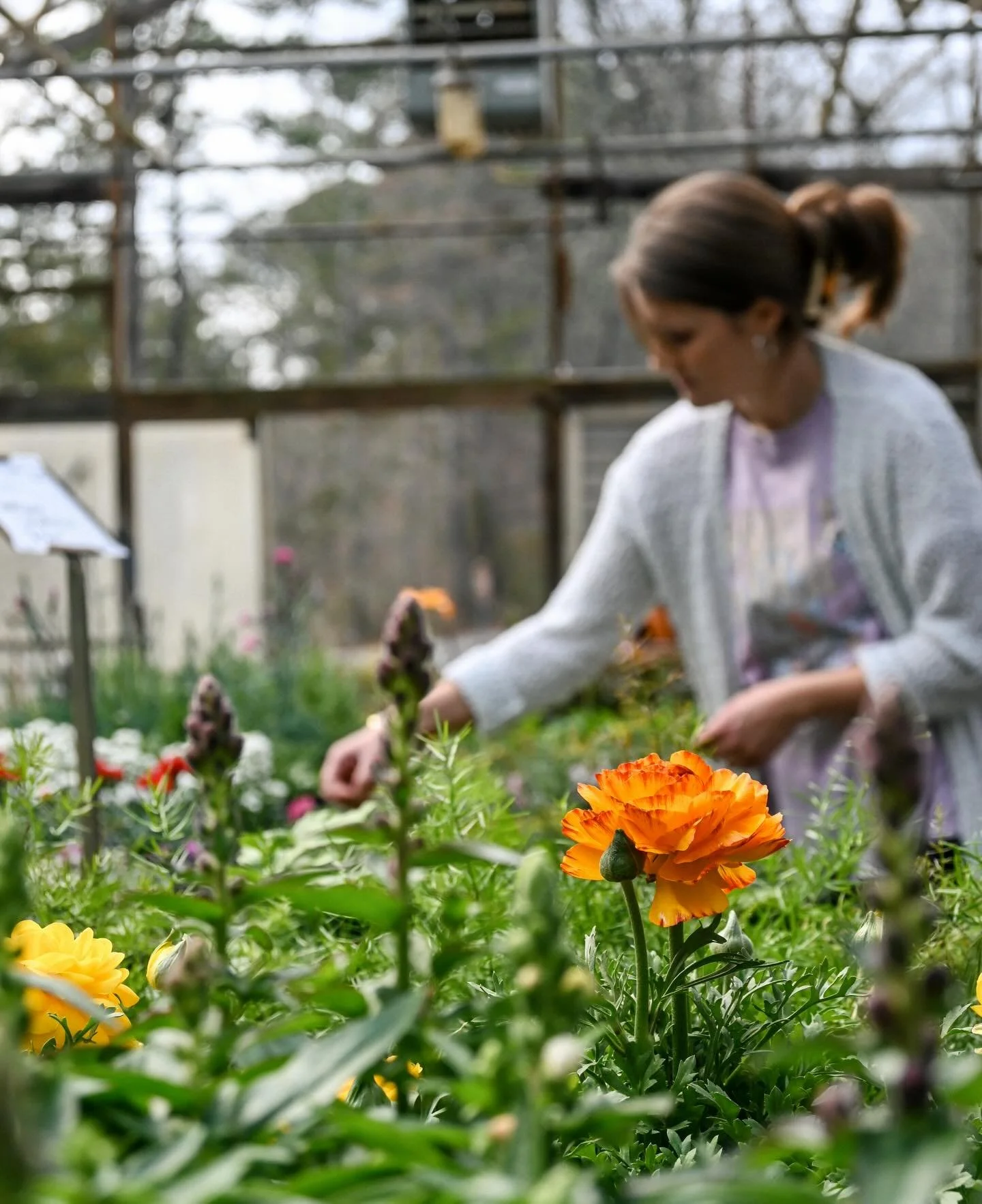 A new season is approaching &hellip;which means new plants 🌱💚!!! Let us help you this spring 🌸 

Open Monday-Saturday : 9am-5pm🌷