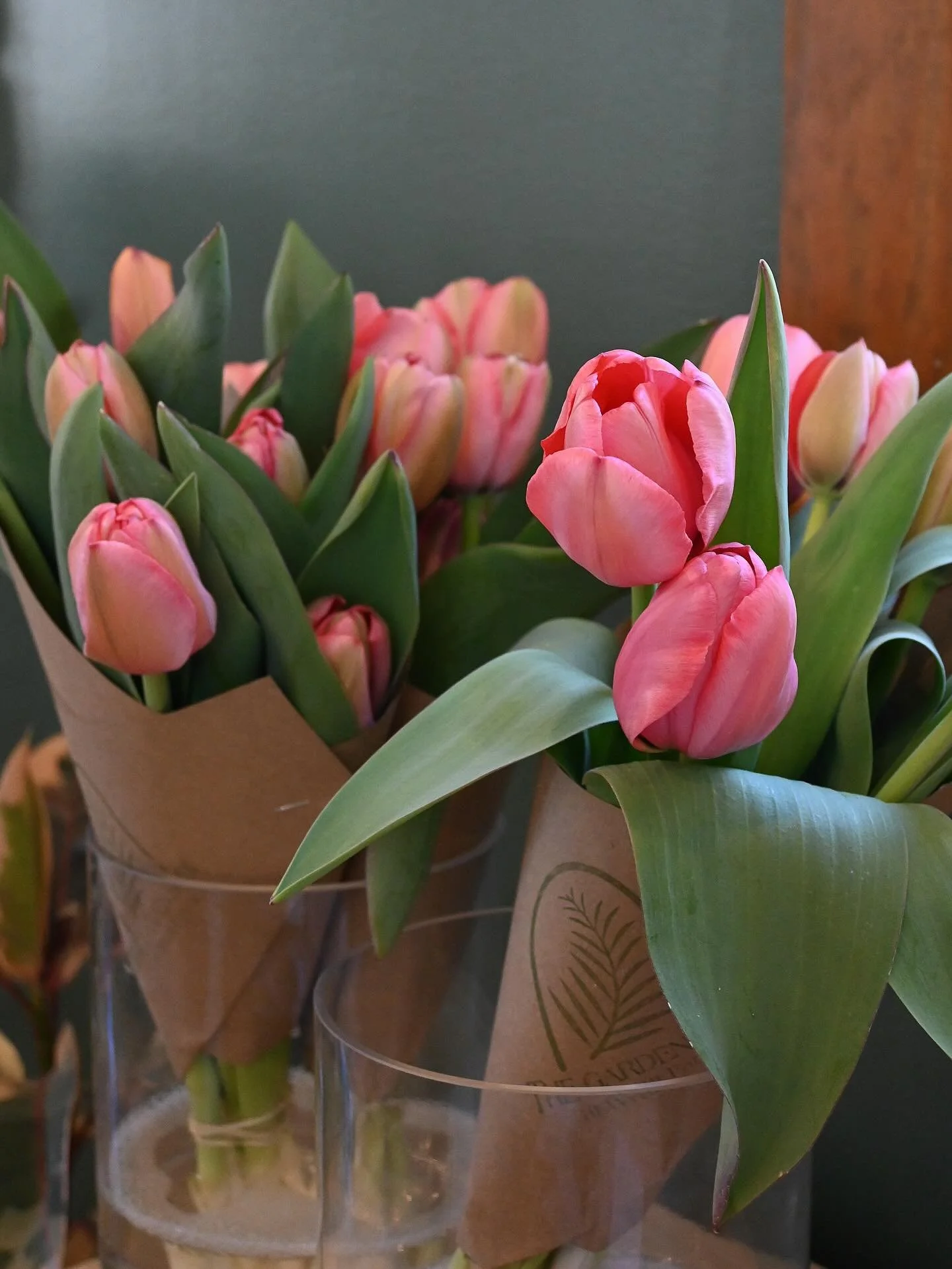 Happy Monday 🌷

Wyatt Farms grown tulip bundles available this week😍 + lots of new spring inventory hitting the shelves 

Open 9-5 Monday through Saturday 🌸