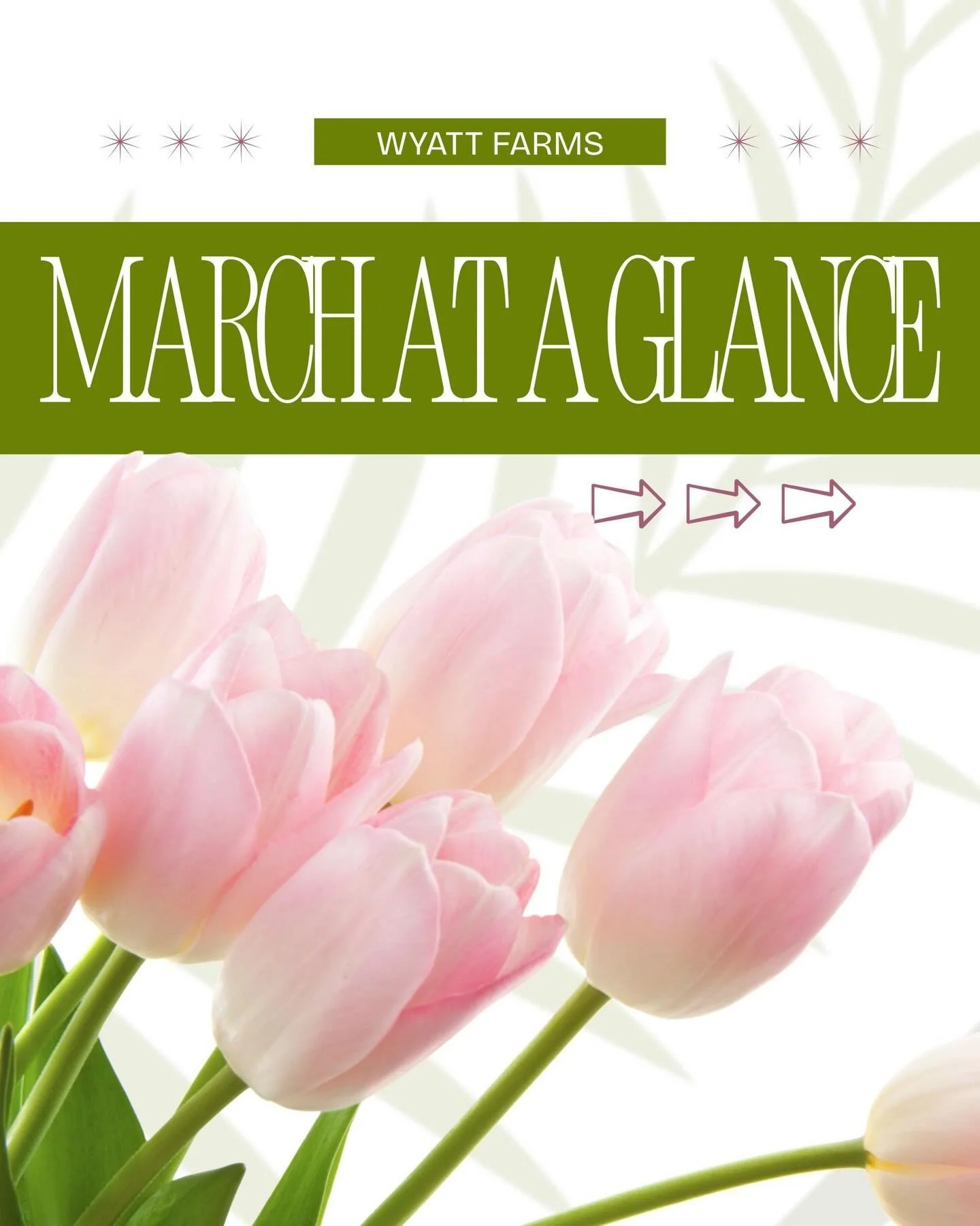 March is just around the corner which means springtime!!! 🍀🌸🌷🙌

What&rsquo;s happening in March- 

Next Saturday - Flower Bar @blossomshoesgwd for their 17th Anniversary✨💐
10am-4pm March 7th! 

March 17th - St. Patty&rsquo;s Day Bingo and Beer n