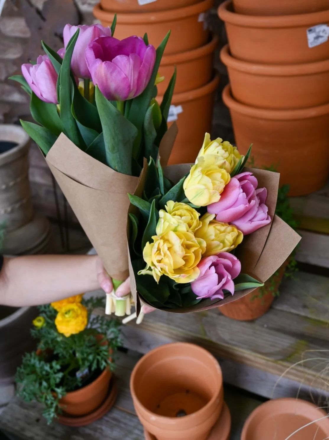 An abundance of tulips are blooming on the farm 🌷
Bundles available for purchase ✨ 
Monday-Saturday 9am-5pm