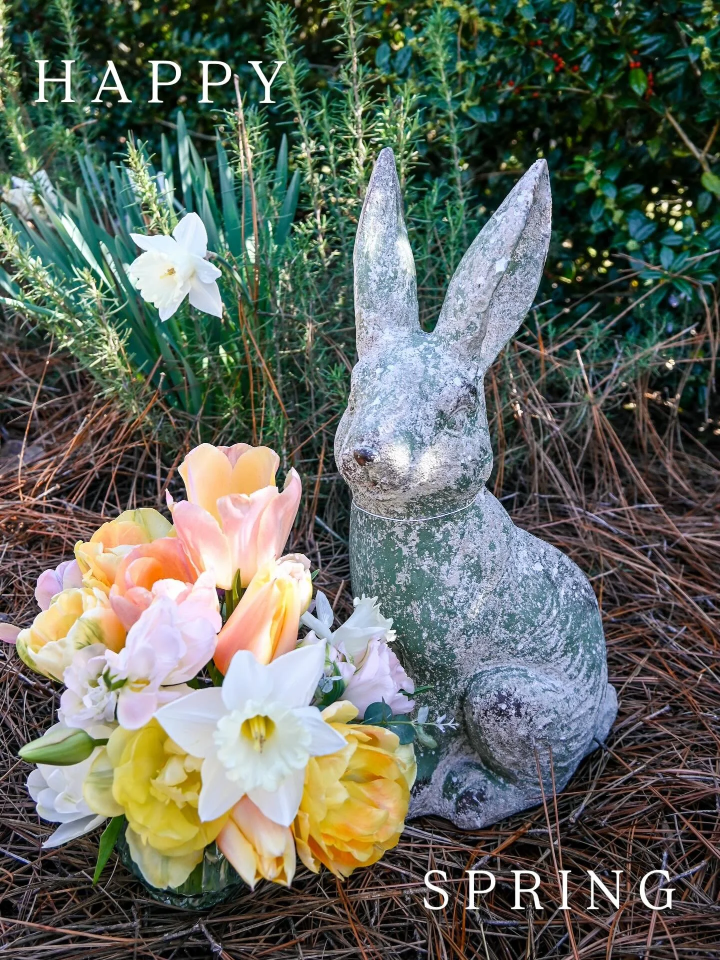 Celebrate the start of spring this weekend with us!

Take 10% off purchase Friday and Saturday 9am-5pm 
💐🌷🐇🌼🌿🍃