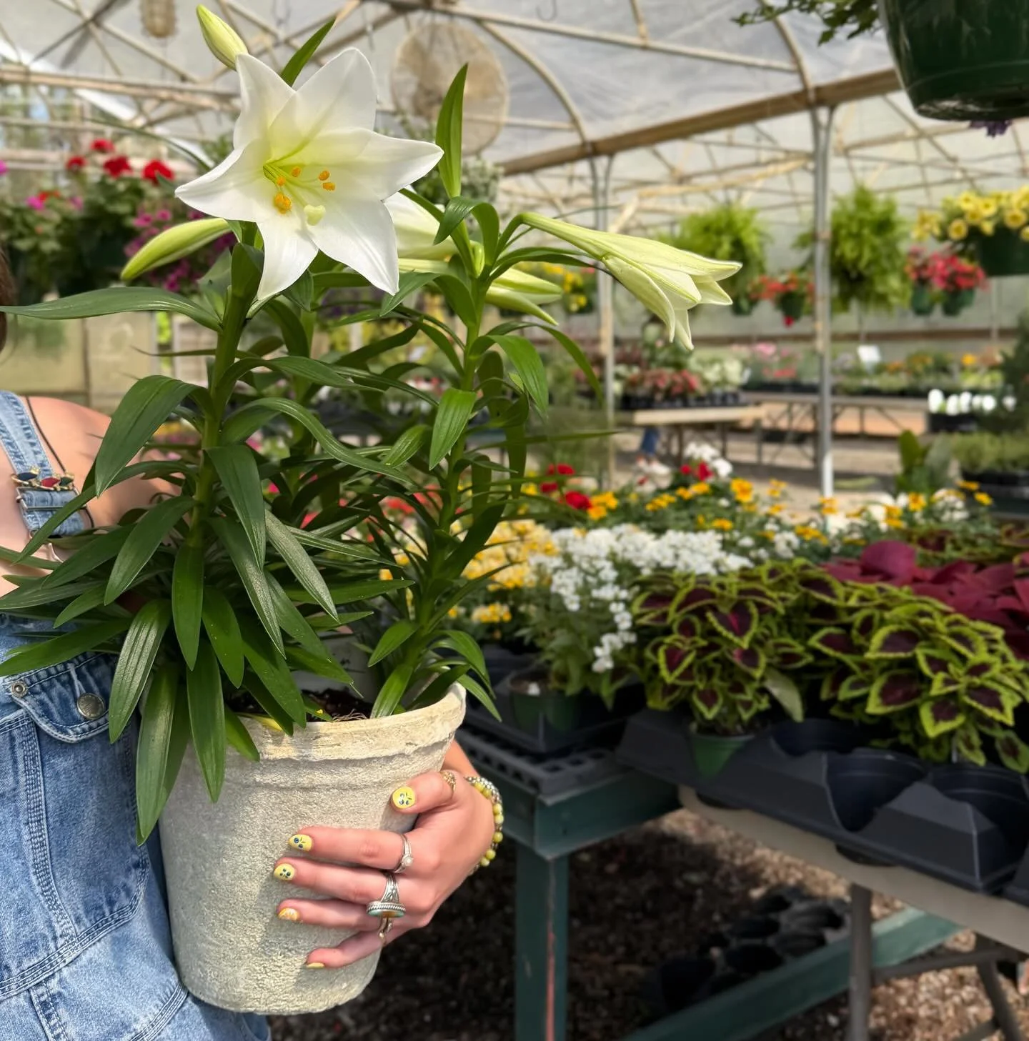 New tropicals + annuals galore! Come get in the spring spirit with us 😍💐🪴✨

This FRIDAY + SATURDAY 9am-5pm
Easter Sale! 15% off &amp; Flower Arrangements
Friday - @charminggourmetsticksllc gourmet chocolates !!!