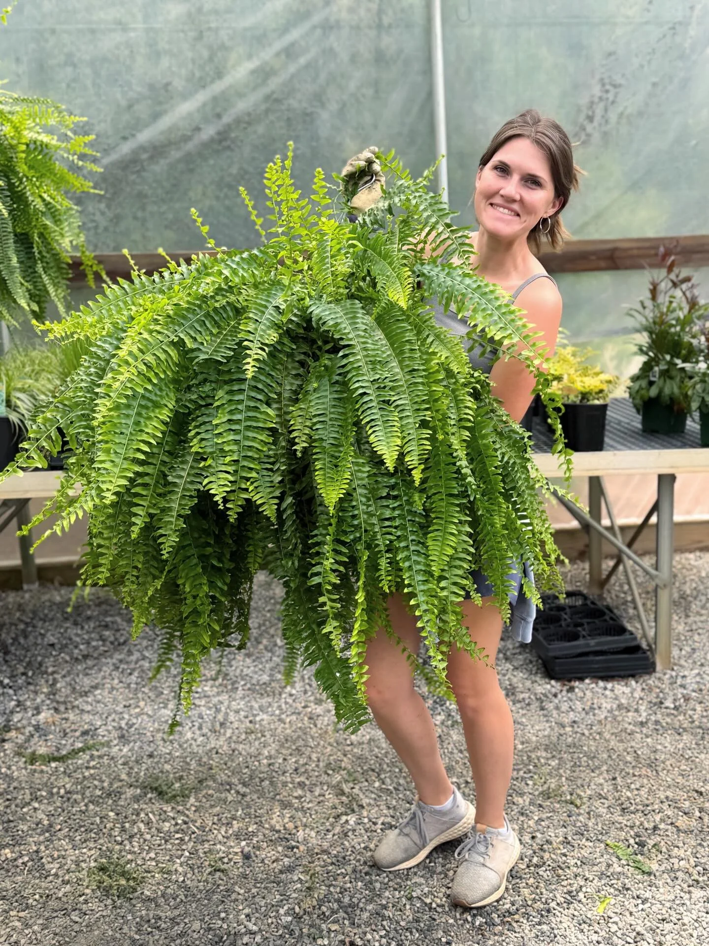 Plants galore! So many fun annuals, perennials, shrubs in stock! New arrivals weekly ✅
Open Monday-Saturday 9am/5pm