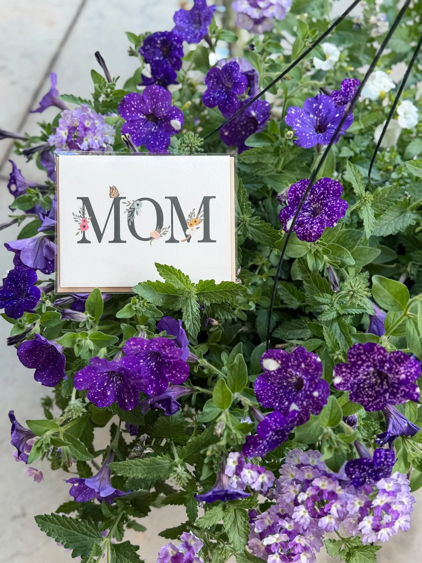 We have you covered for Mother&rsquo;s Day Gifts🌸

From pre-made planters 🪴, cards, fresh bouquets and gifts&mdash;everything you need, all in one place.

NEXT- FRIDAY &amp; SATURDAY - ✨
&bull;Flower Bar + Arrangements
&bull;Permanent Jewelry + Cha