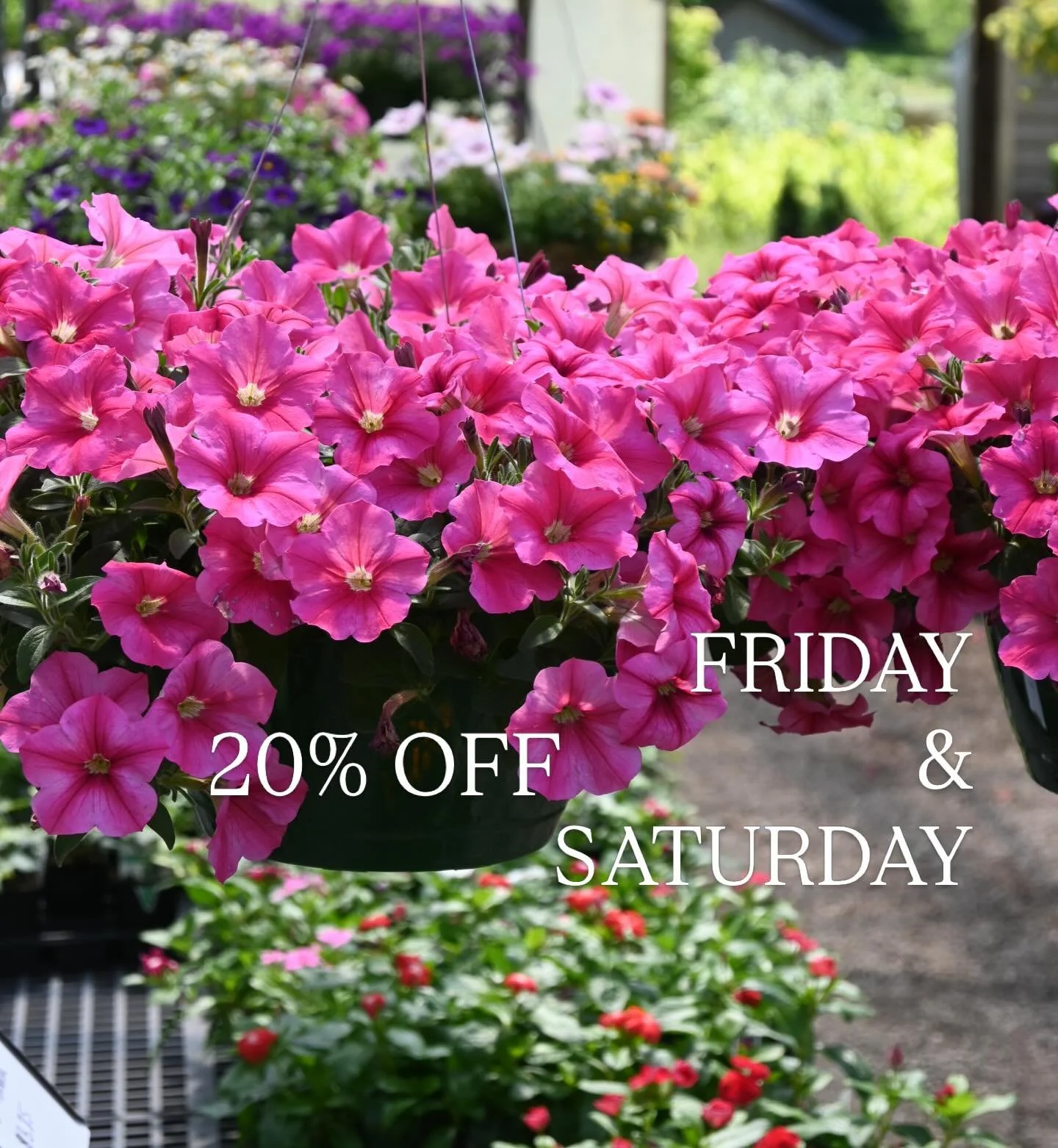 In addition to our Mother&rsquo;s Day Weekend Event &hellip; take 20% off your entire purchase Friday &amp; Saturday! 🌸

A great time to stock up for your spring garden + gift mom something special all while saving 🥳✨💓

FRIDAY &amp; SATURDAY -
&bu
