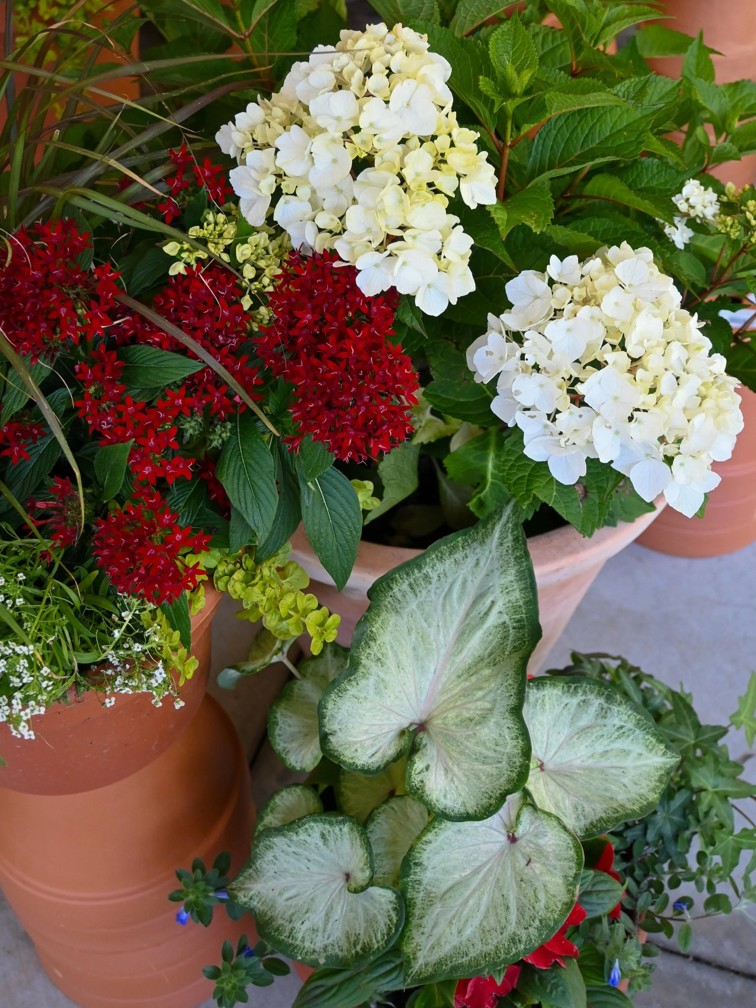 Get your porch ready for Memorial Day Weekend 🇺🇸🌱✨
We have plenty of blooms to bring color and curb appeal to your outdoor spaces all season long - We will be closed next Monday for Memorial Day ! 
Open the rest of the week with normal hours :)
9a