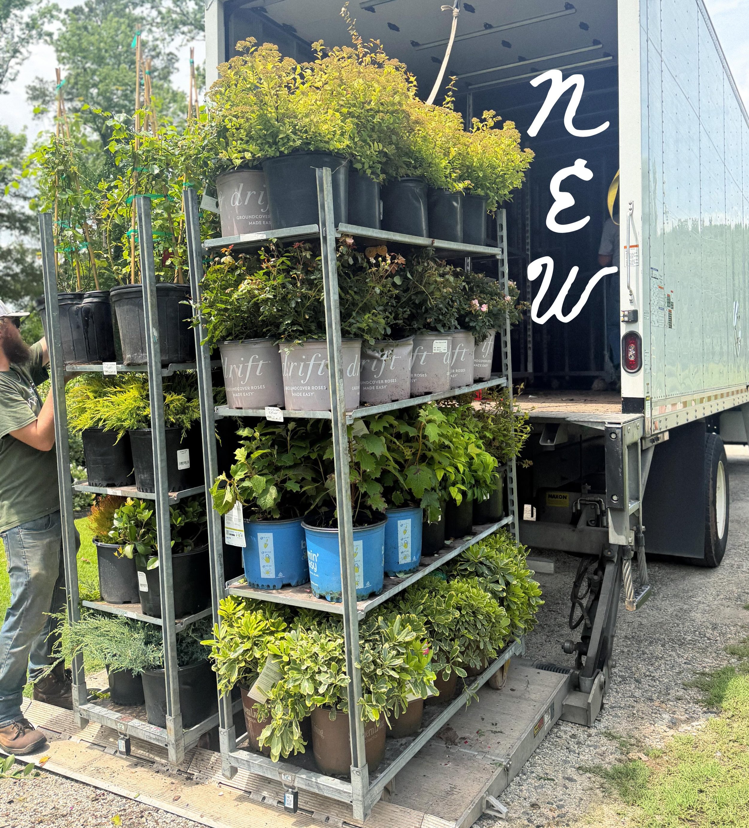 It&rsquo;s growing seasonnn and new shrubs are hot off the truck! 👏🌱

A couple planting tips- 
1. Dig hole just as deep twice as wide 
2. Water frequently for the first few weeks to get roots established - esp. on hot sunny days!
3. Reduce mildew a