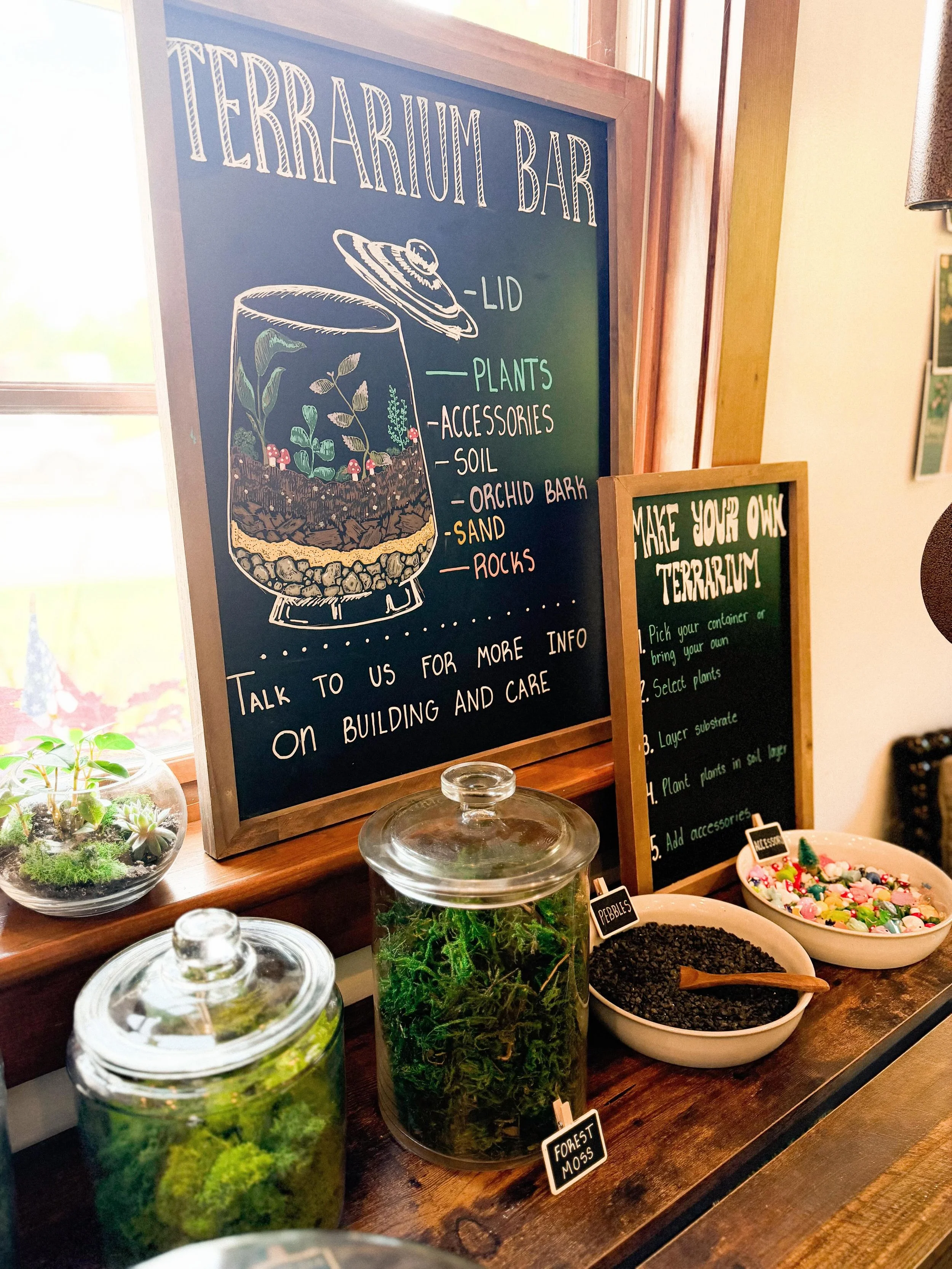 DIY Terrarium Bar during the month of June ! 
Come by anytime and build your own customized terrarium 🍄🧚&zwj;♀️🍀
We are available to answer any questions and help facilitate the process! 
Open Monday - Saturday 9am-5pm
Happy June!! ☀️