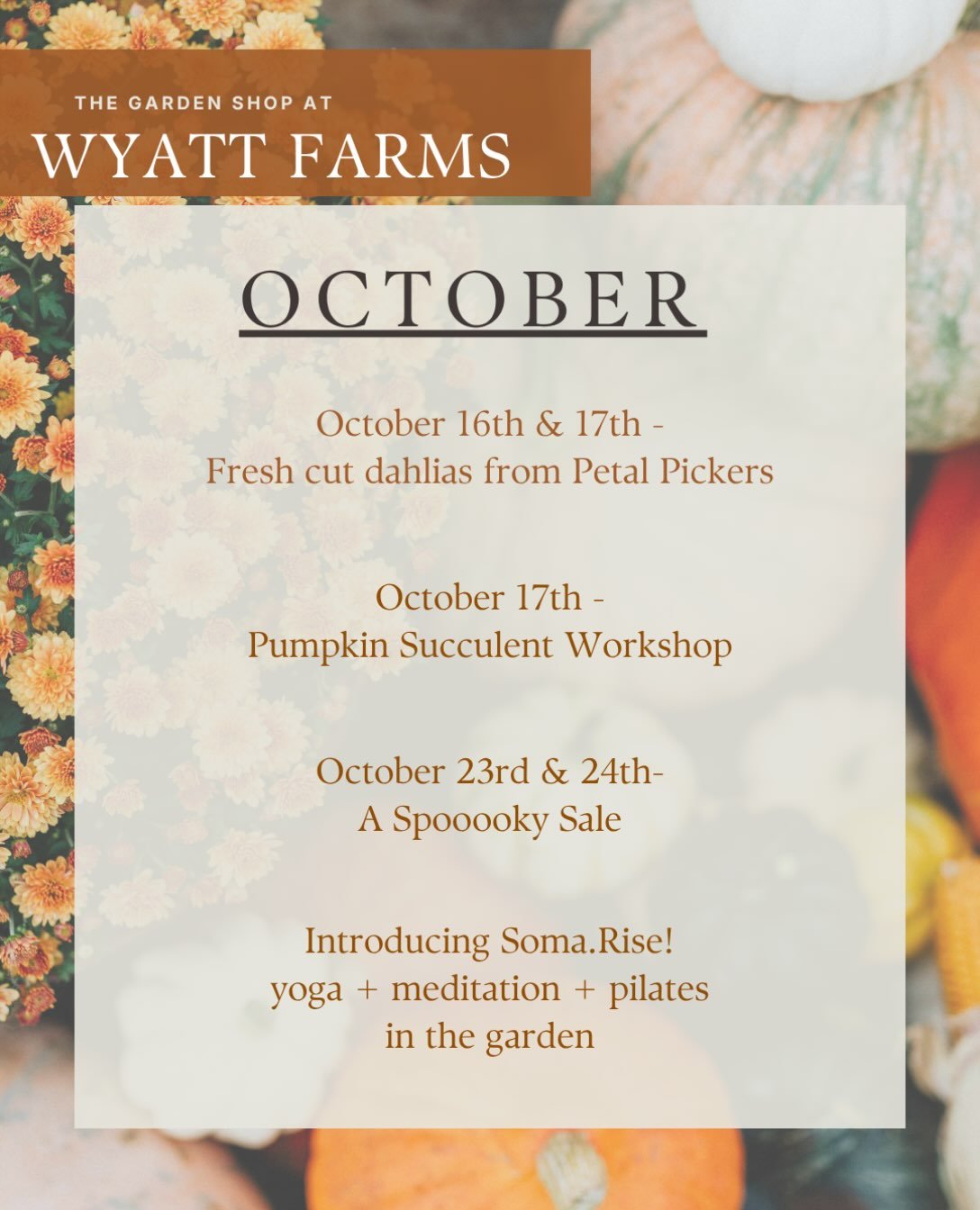 October at a glance ✨🎃 
&mdash;Details to come &mdash;
Happy Spooky Season!!!!👻