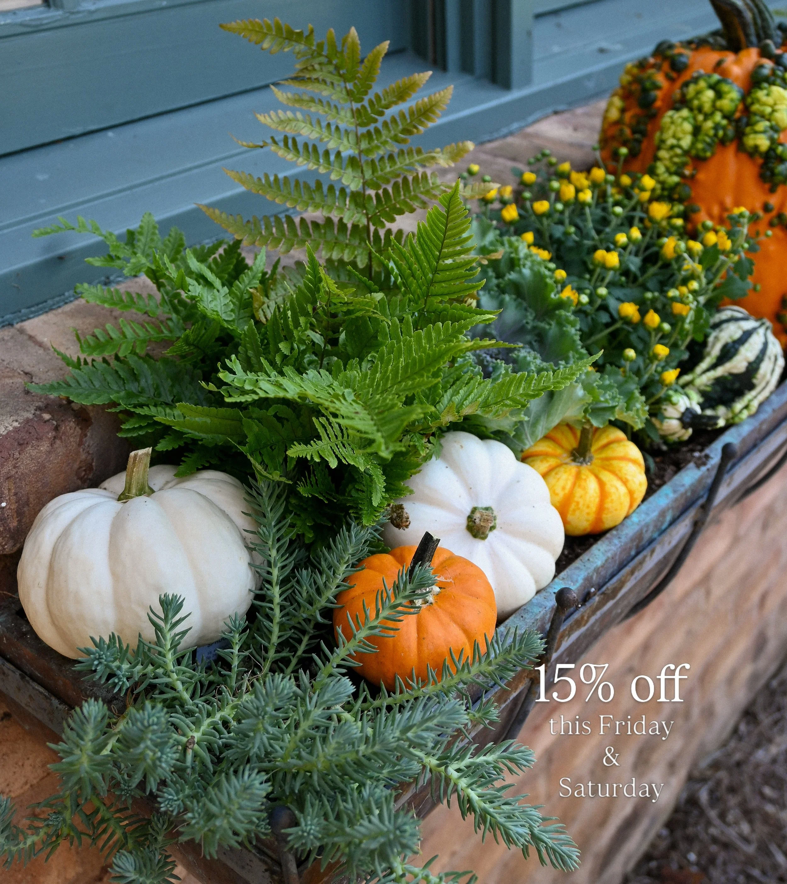 Celebrate the beginning of Fall with us this Friday &amp; Saturday ! 15% off your purchase 🍁🍂