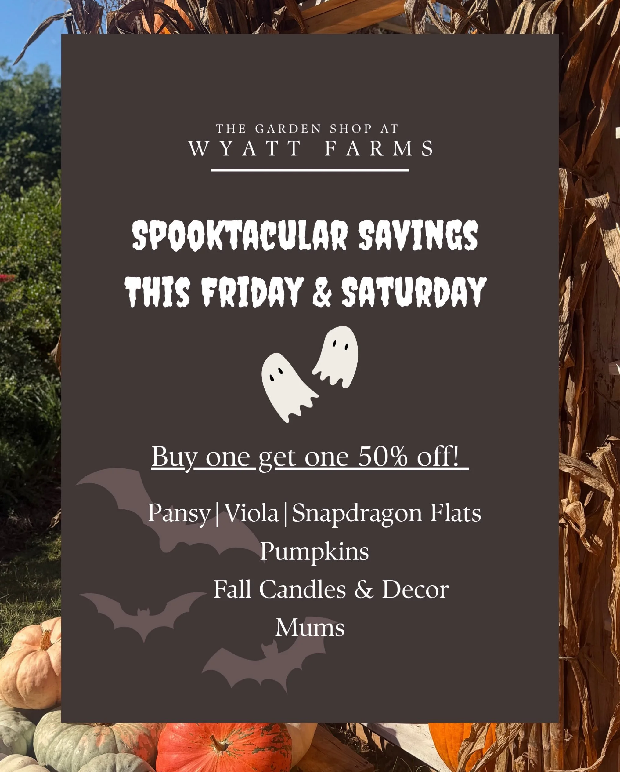 BOGO TIME! Buy one get one 50% off this Friday and Saturday🎃👻
Good time to stock up on all the fall goodies for your porch! Halloween is so soon 🦇
9am-5pm Monday -Saturday!