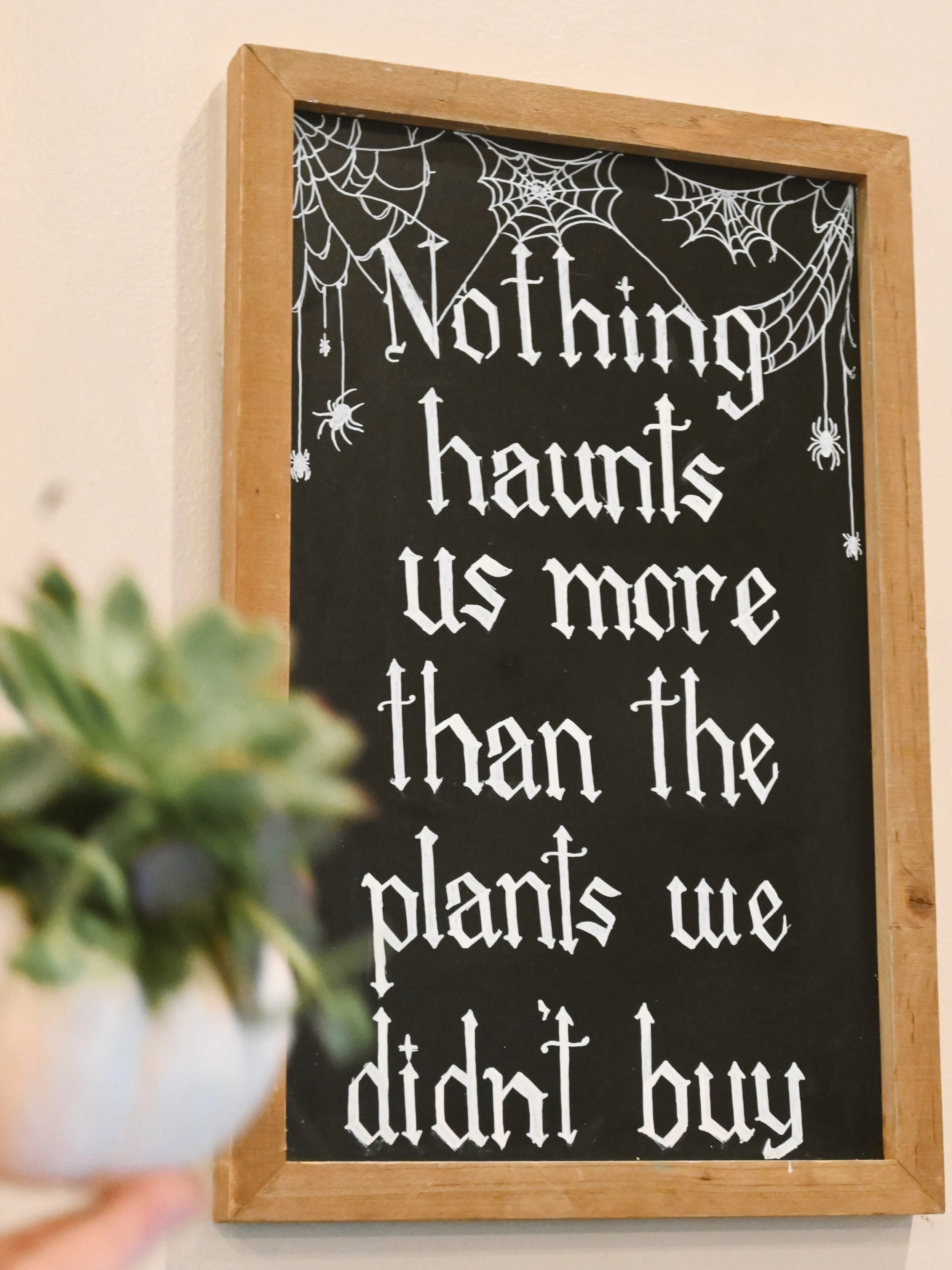Nothing haunts us more than the plants we didn&rsquo;t buy 🪦💀😉
Lots of pretty houseplants in right now! 
Open 9am-5pm M-Sat