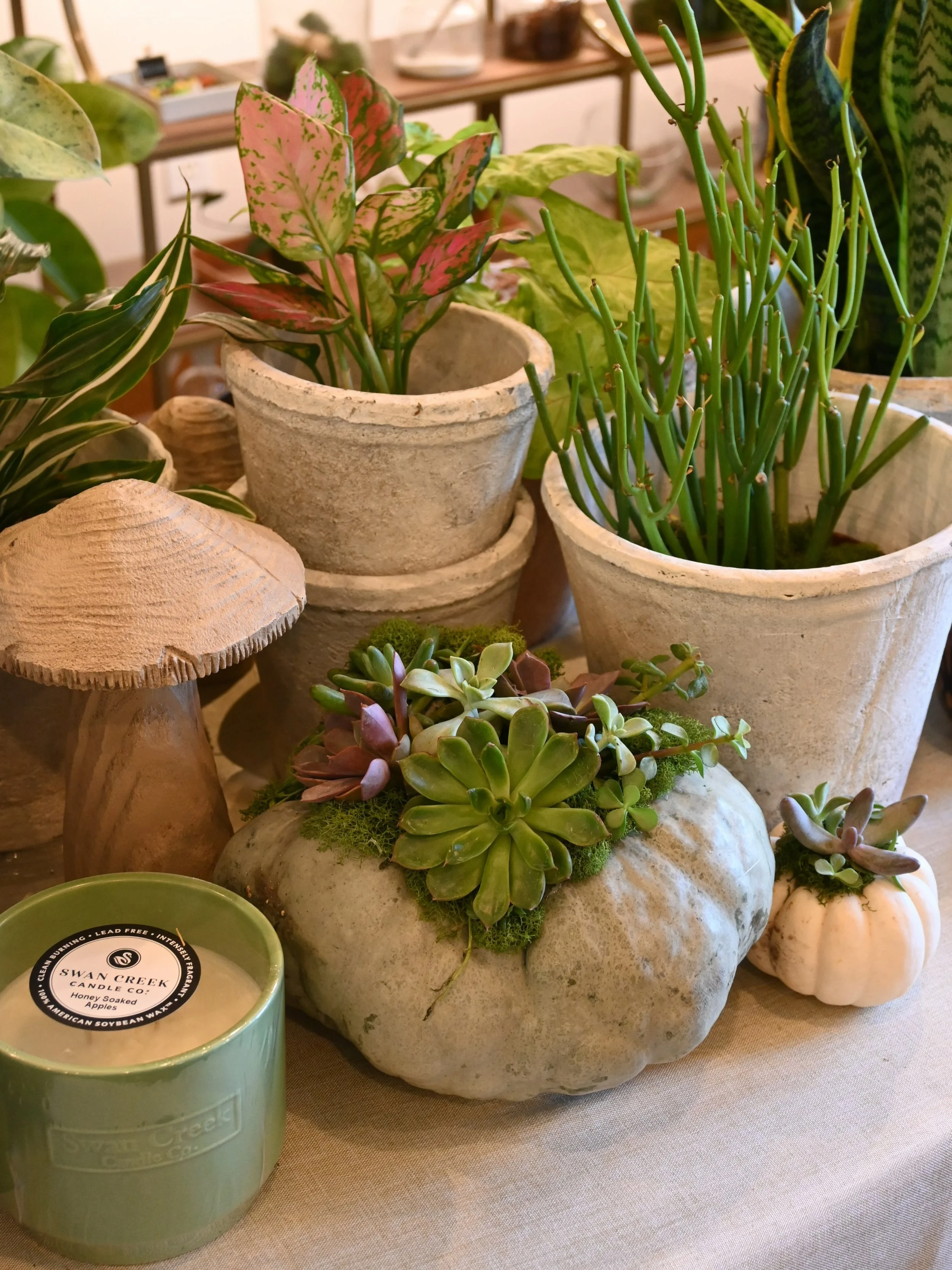 It&rsquo;s Halloween Weekkkkk! 👻
Come get your porch looking right with us this week! 
📍103 Wyatt Court Greenwood SC 

Pansies, mums, fall candles, pumpkins &amp; more!🎃