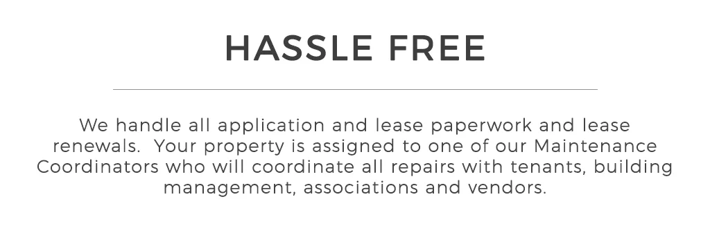 Hassle Free.jpg