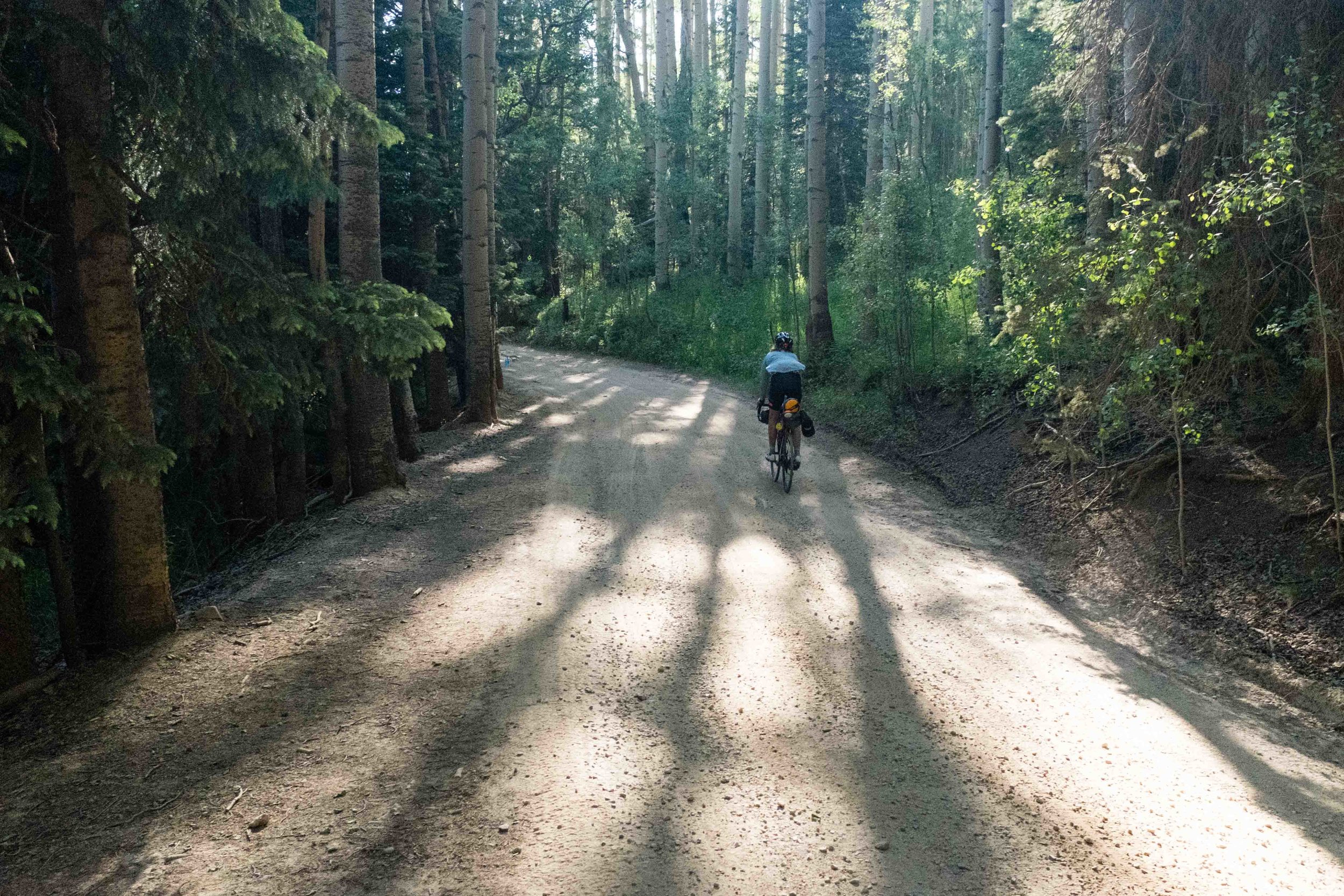 Shayla annihilated the descent off the west side of Ophir Pass non 25c tires. Epic.