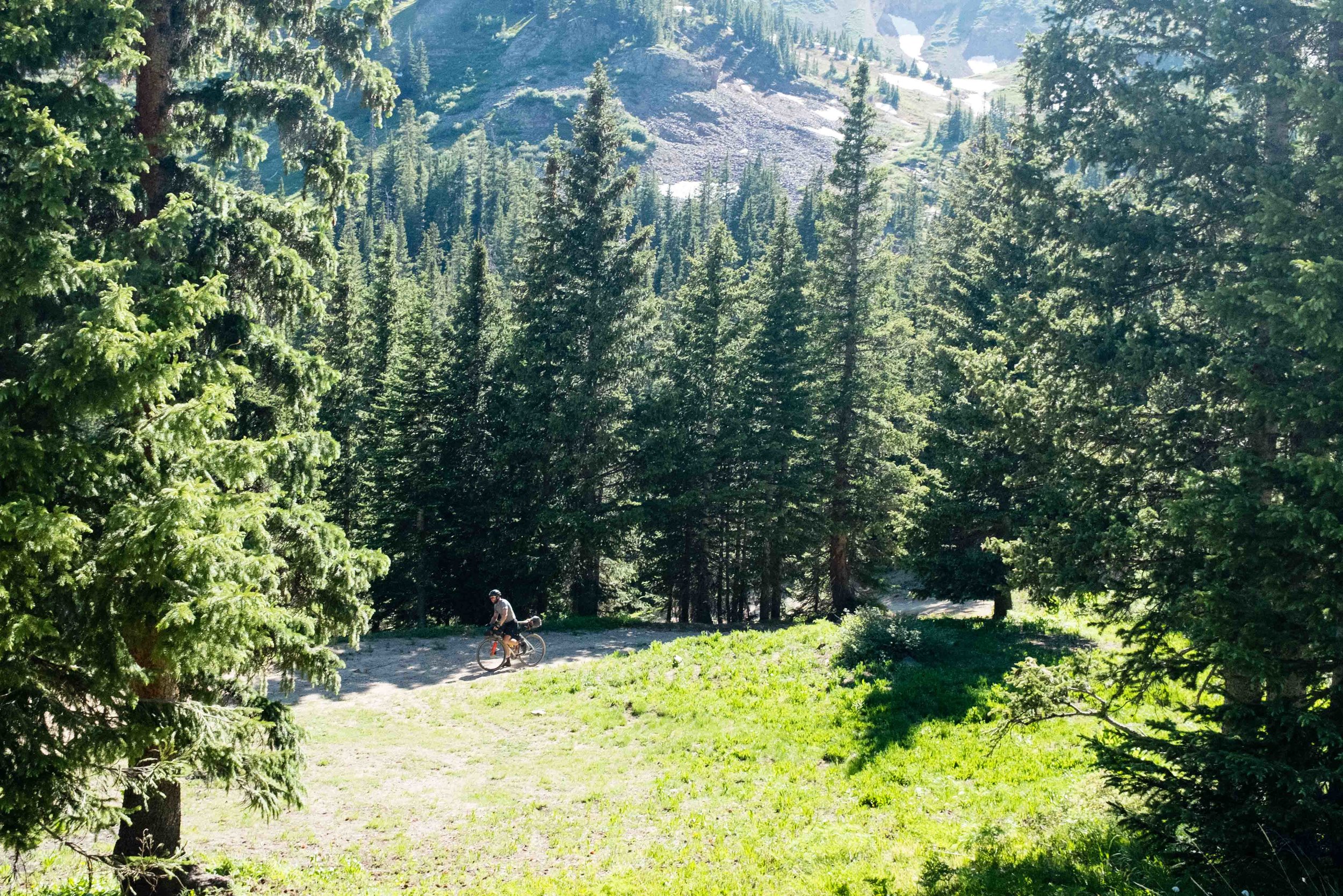 Things were slow going up through the forest on Ophir Pass, with grades between 15-23%, and eventually, after about 2 miles and 2500 feet of elevation gain we were forced to get off and walk.
