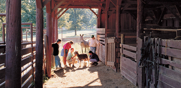 heifer-ranch.png