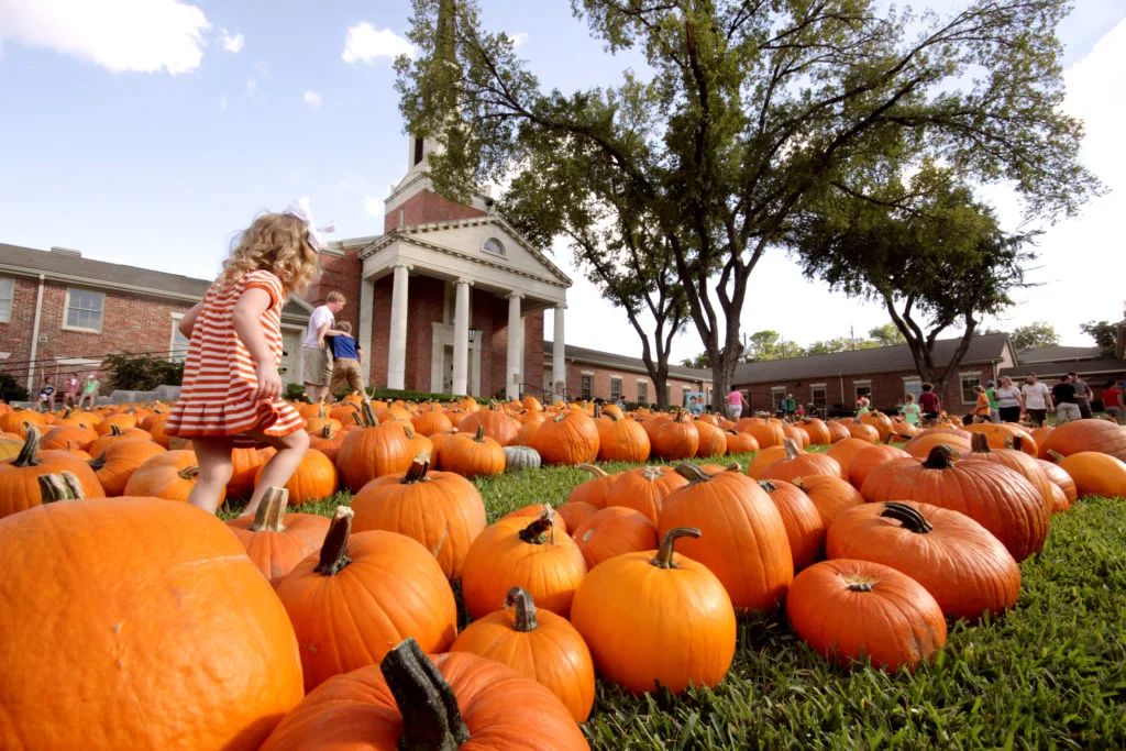 tarrytown pumpkins.jpg
