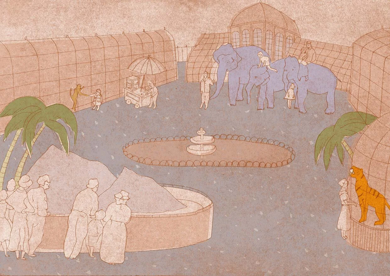 Zoo_kleur.jpg