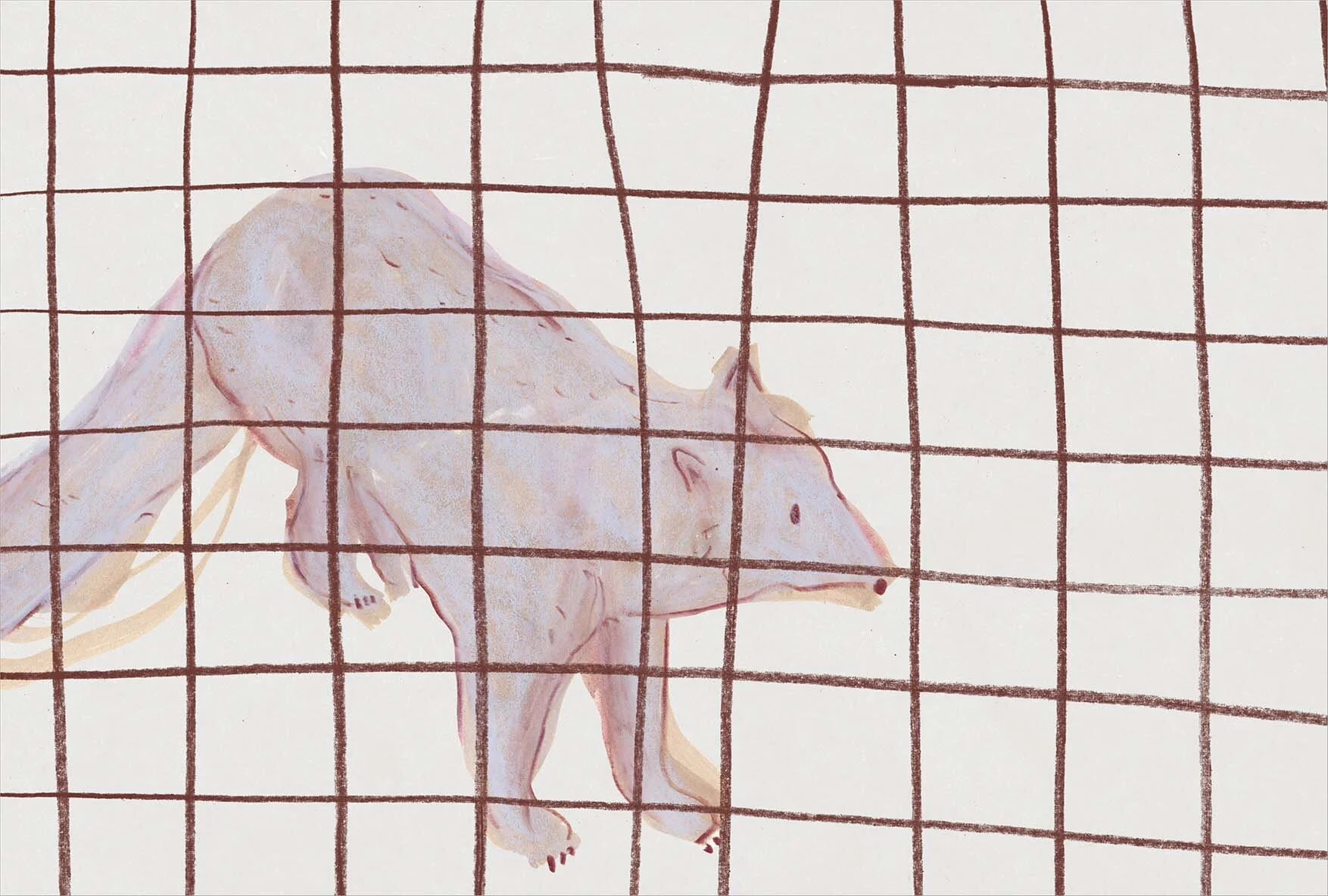 Mixed media polar fox from sketchbook (see video below) with digitally added bars