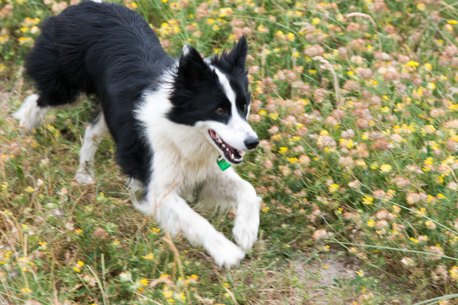 2015_07_02_Dublin_Wicklow-129.jpg