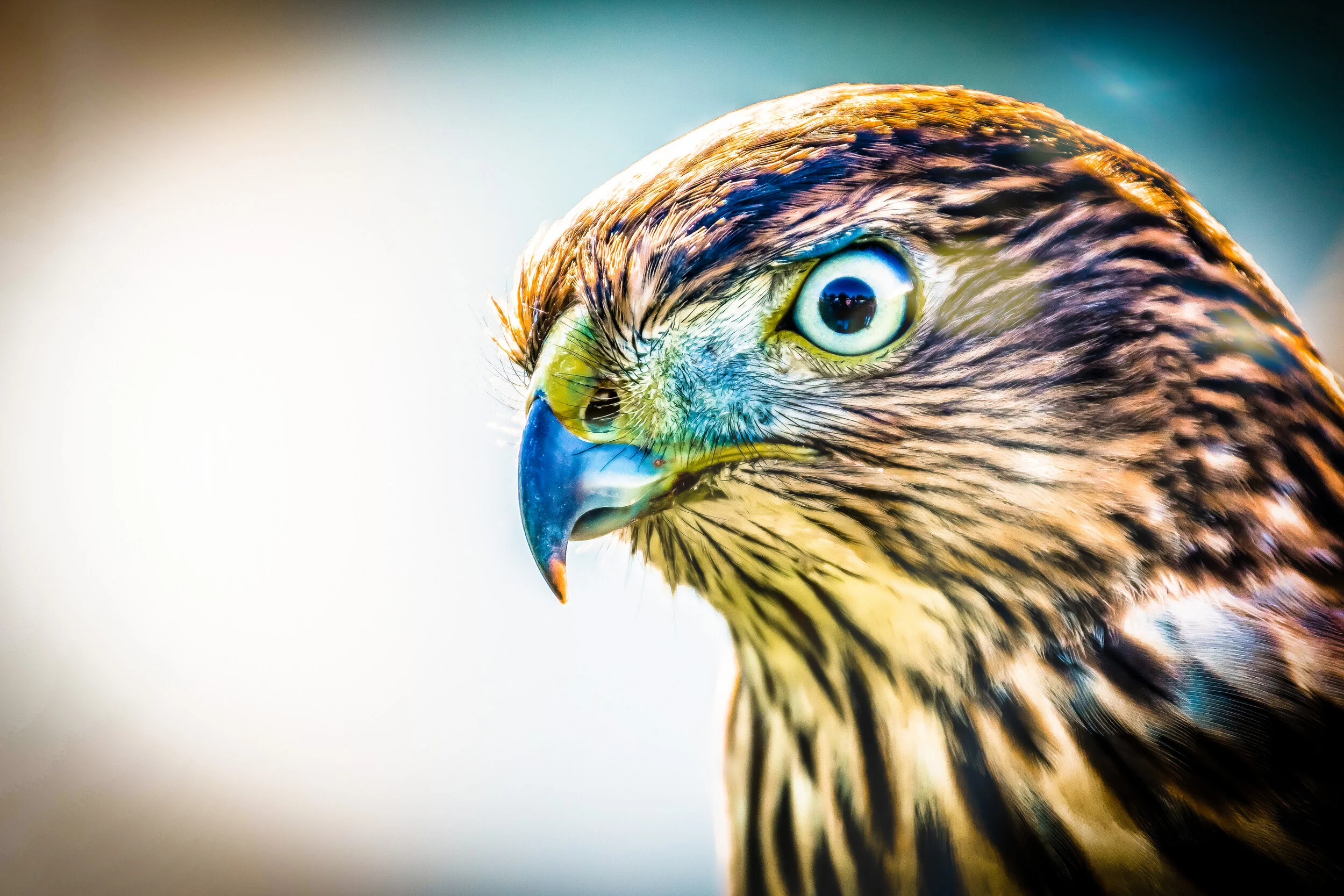 B218E540-C854-43AE-BA12-42DFADE57314 2.JPEG